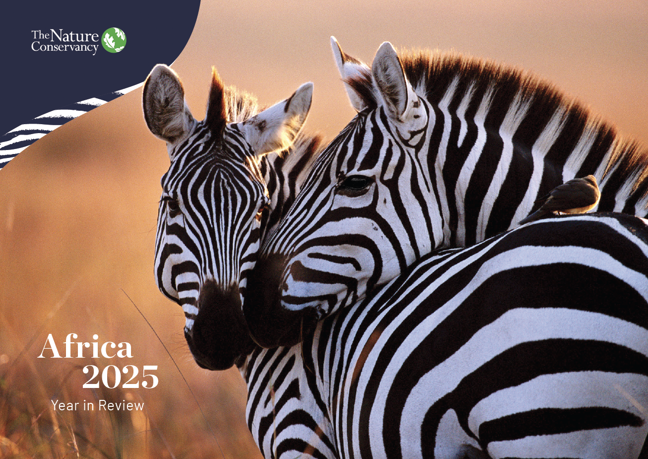 Cover of the Africa Year in Review 2025 report.