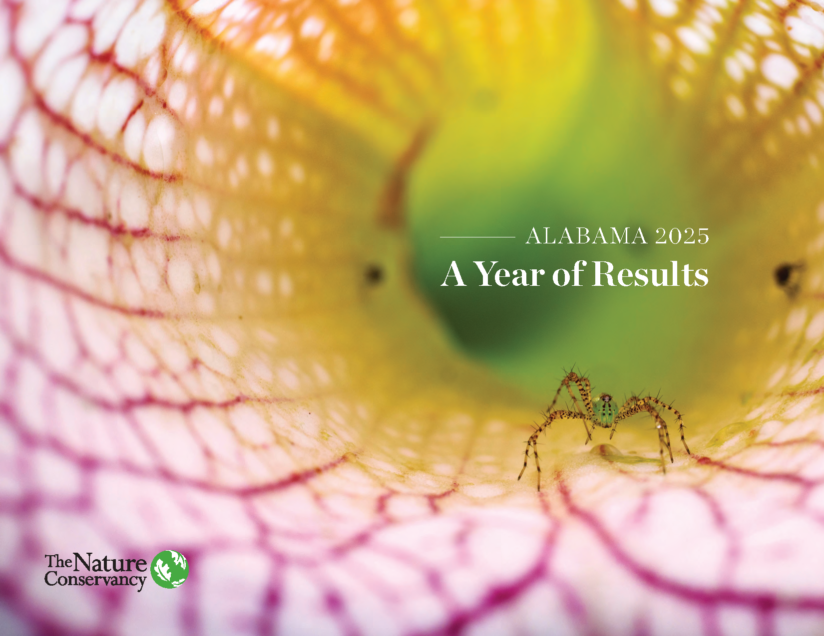 The cover of a report features the inside of a flower.