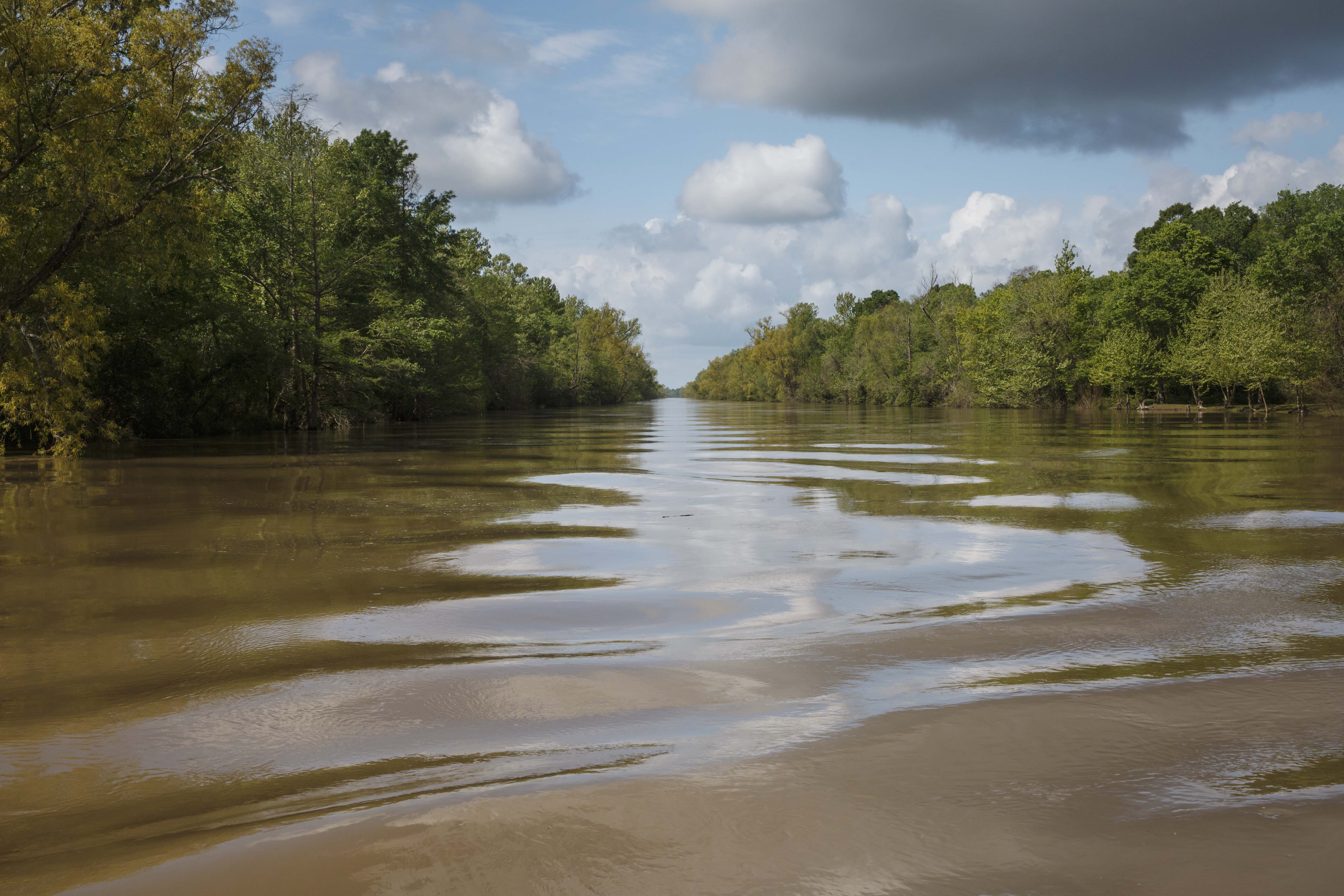 A wide river flows through dense forest on both sides.