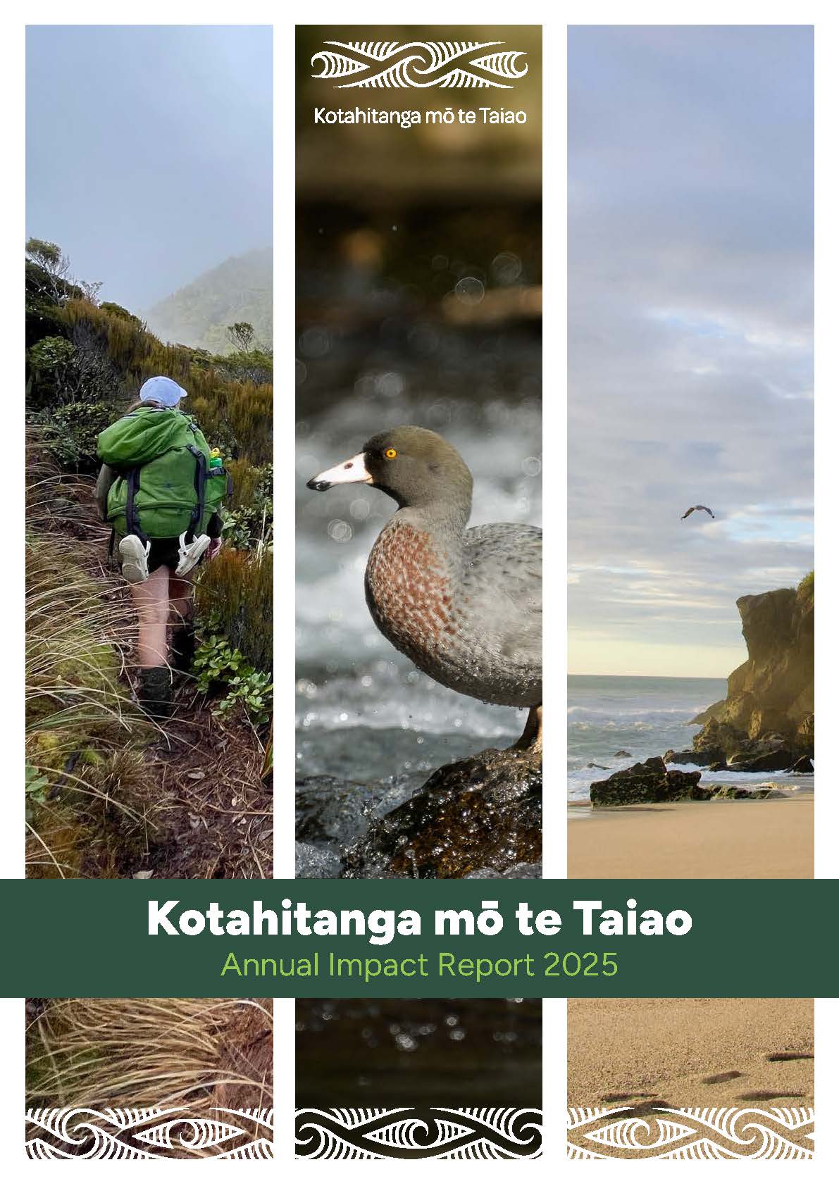 Three image panels: a hiker, a grey bird and beach.