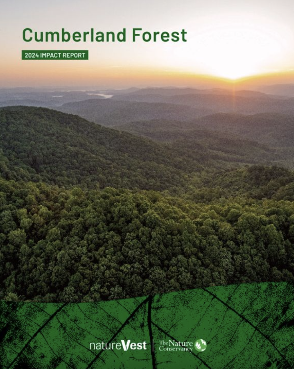 The cover image of the Cumberland Forest Impact Report.
