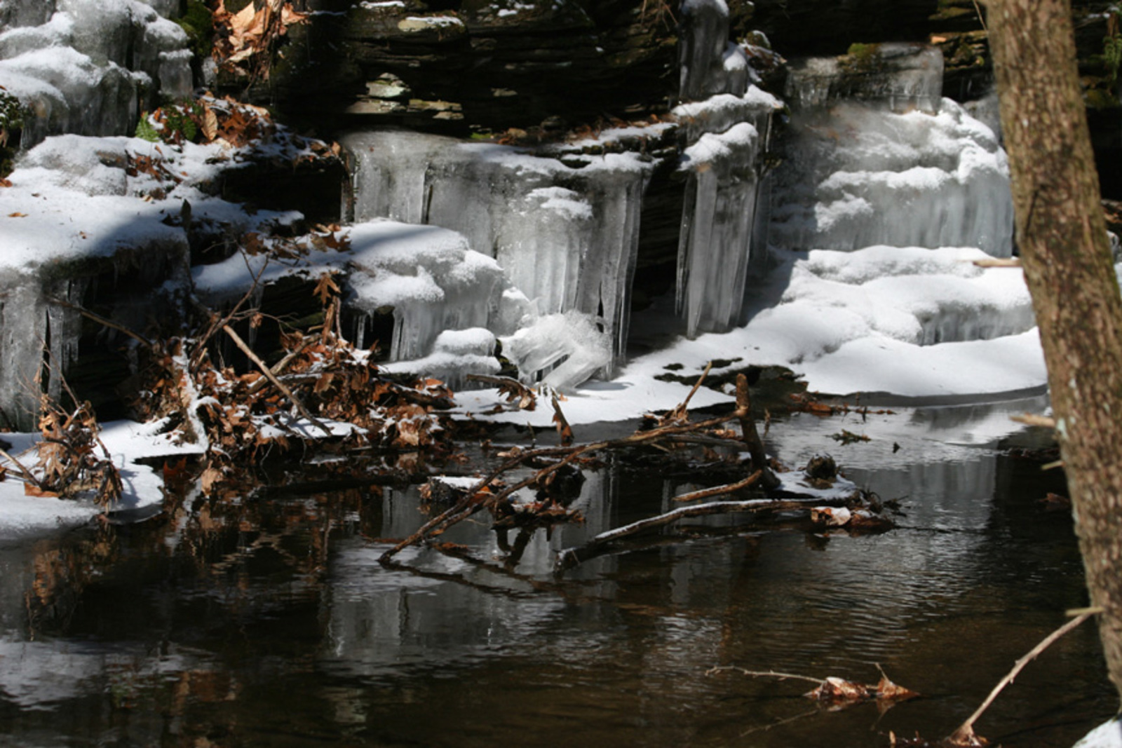 Ice and snow form on dark waters.