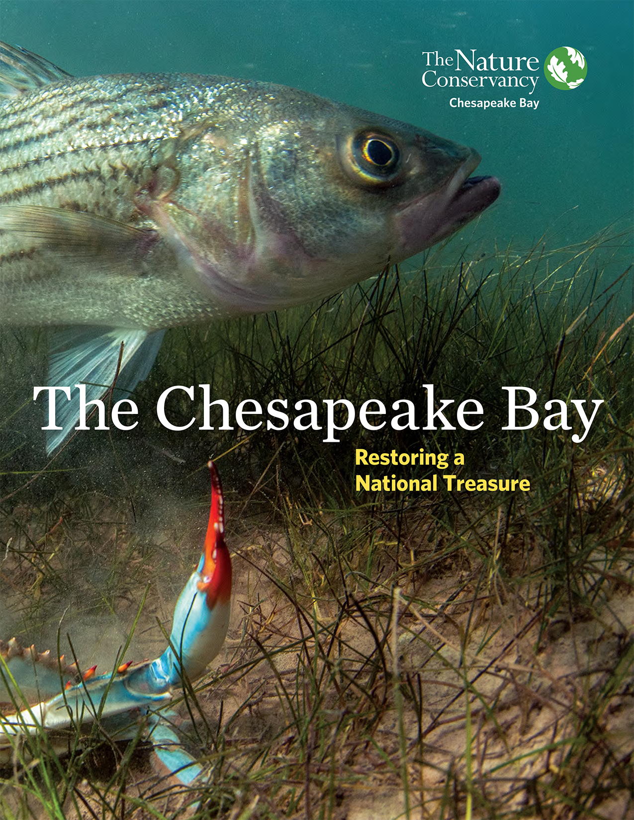 Cover of the 2024 Chesapeake Bay case for support.