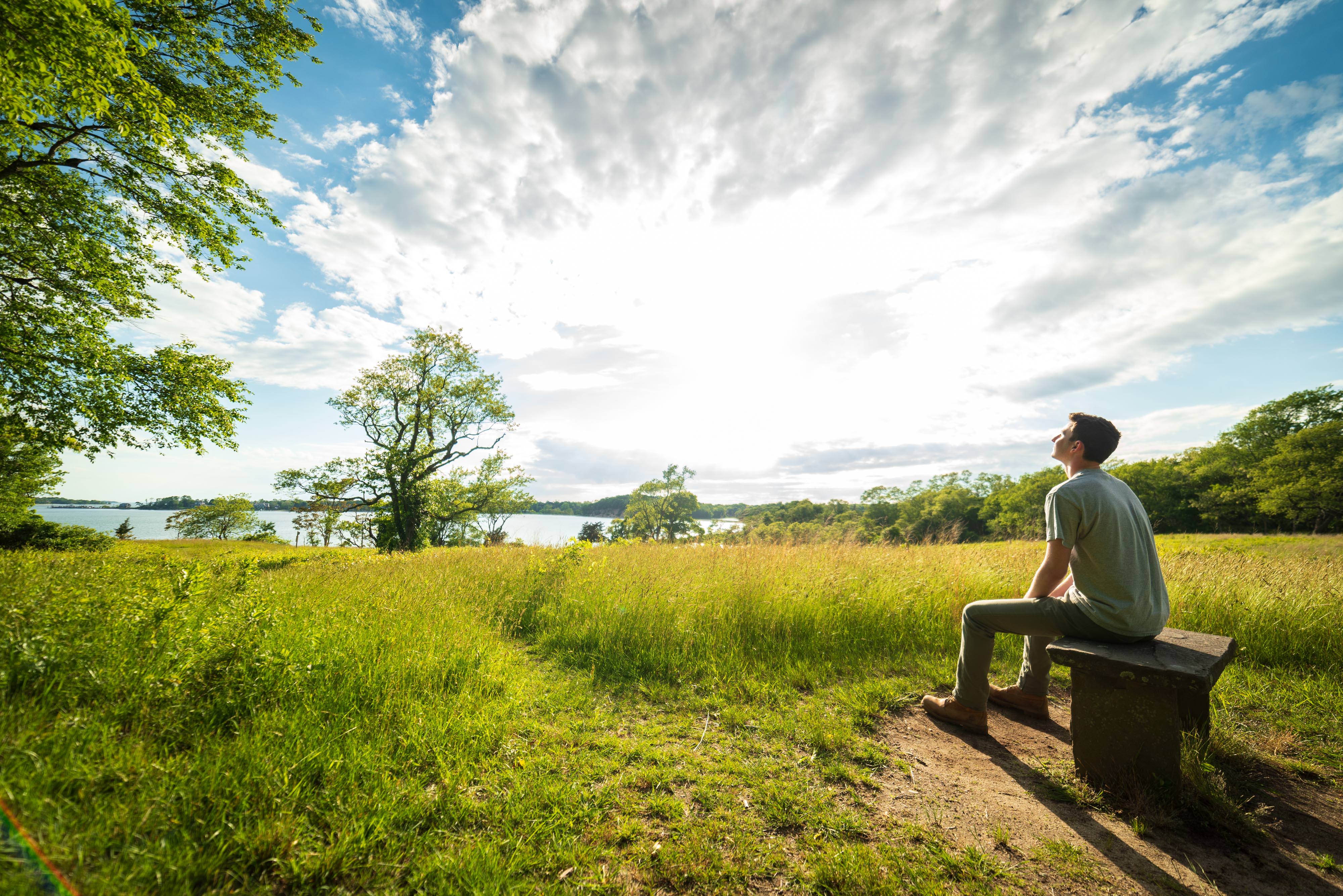 A person sits on a bench to take in a view of trees and water.