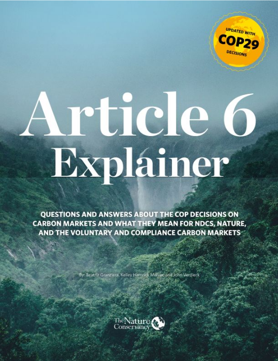 Cover image of a lush forest for the Article 6 Explainer.
