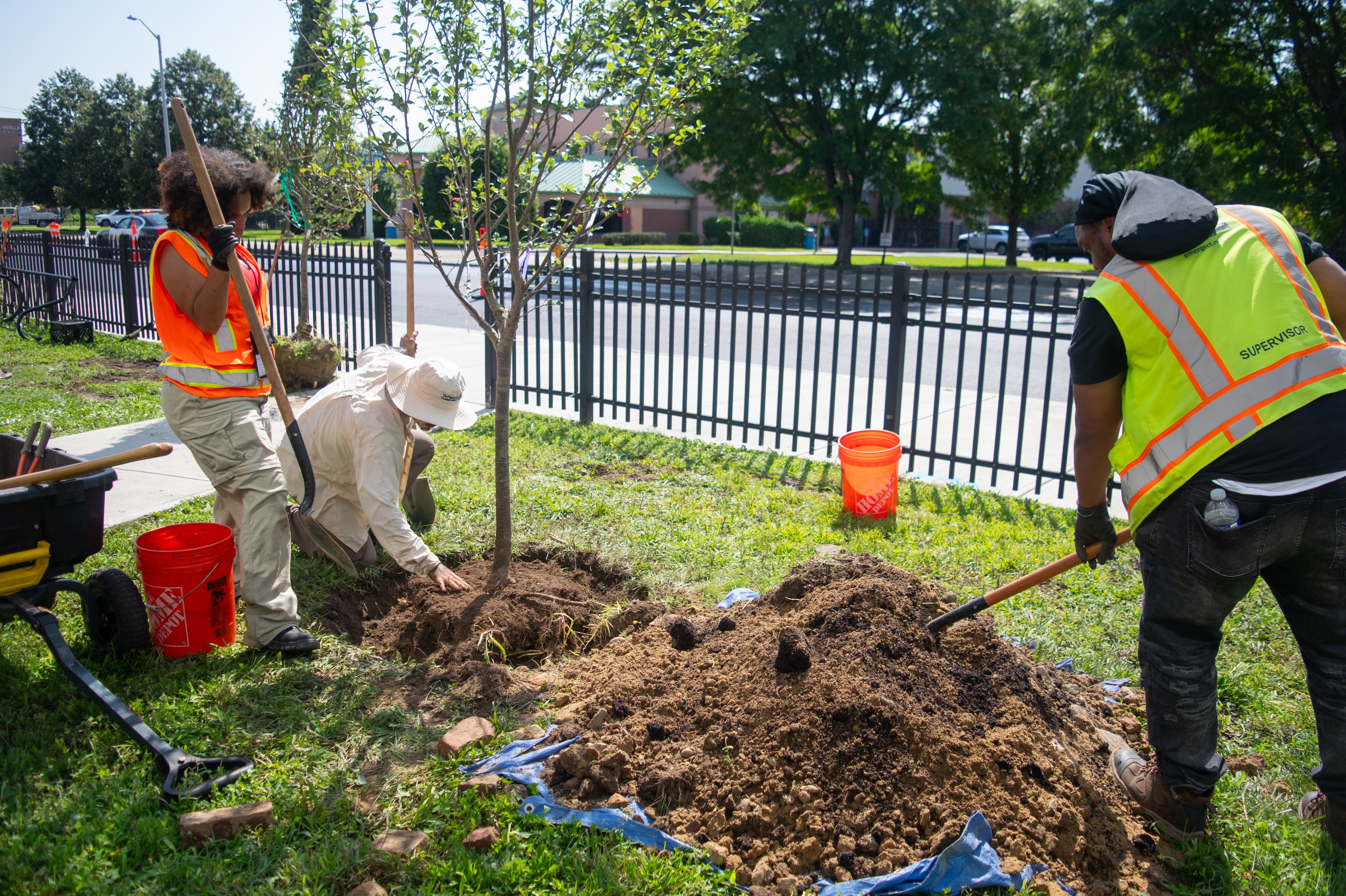 A small group of people working together to plant a tree next to a road. They are wearing reflective vests and using tools like shovels. There are orange buckets and a wheelbarrow nearby. A heap of soil is on a blue tarp beside them. A black fence and trees line the background.