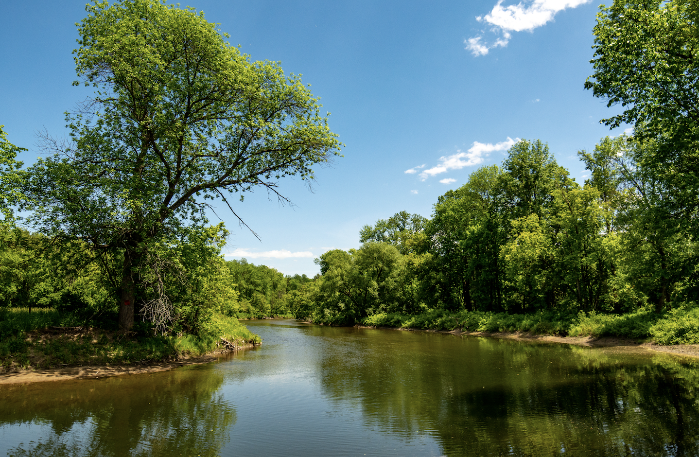 A view of a blue river surrounded by green trees.