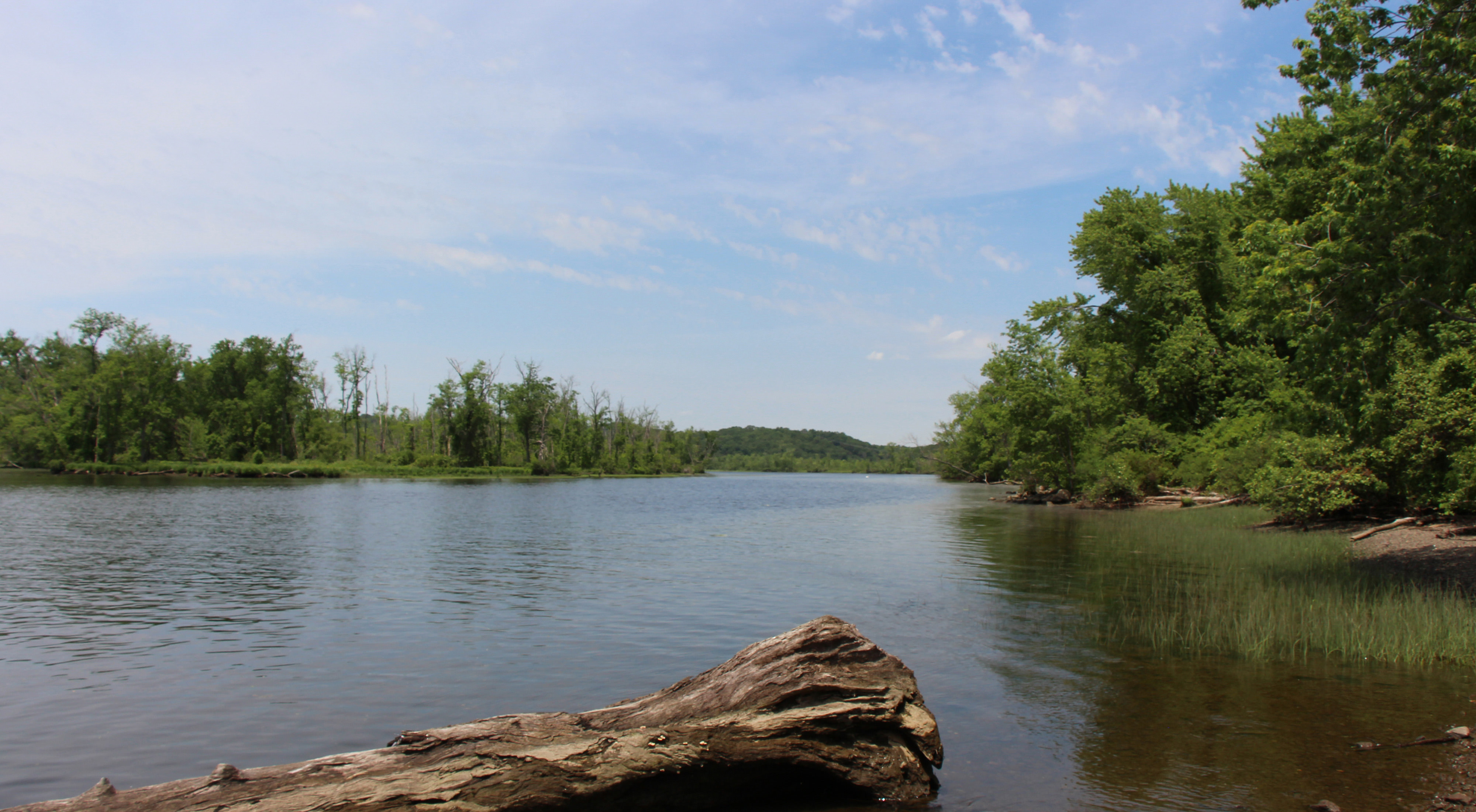 A calm river flows through a forested landscape.