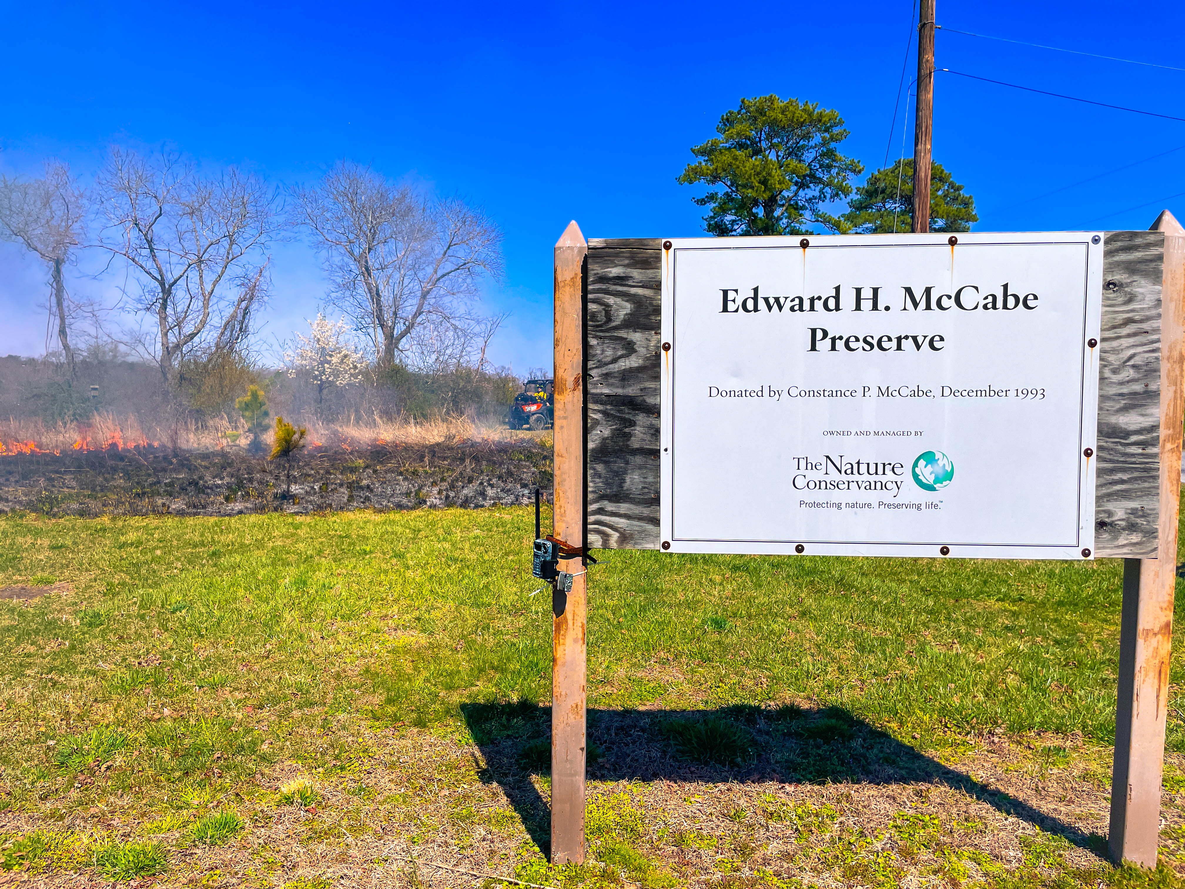 A small prescribed fire burns in a field at McCabe Preserve in front of the preserve sign. 