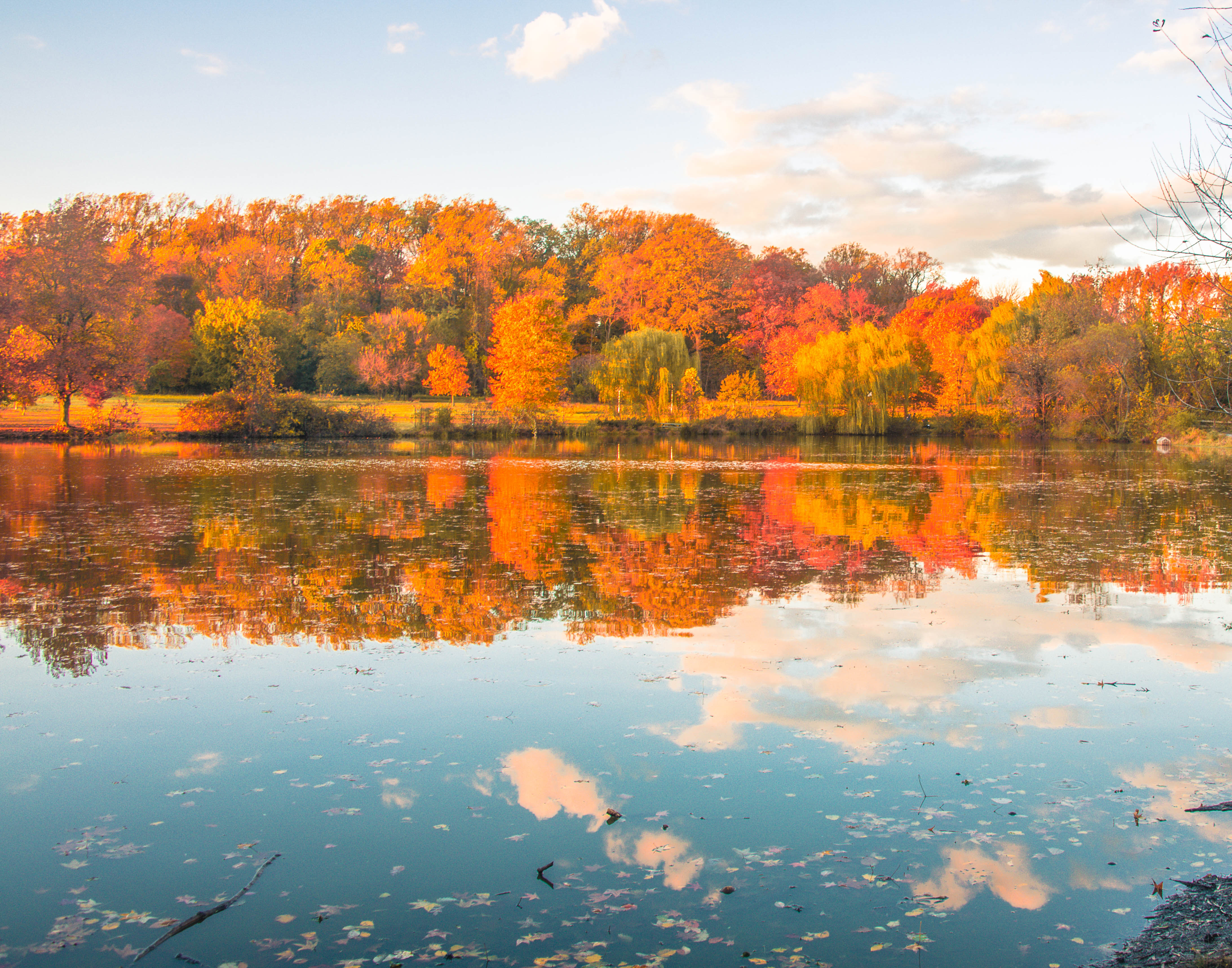 Fall colored trees line a pond and create an orange and yellow reflection in the water.