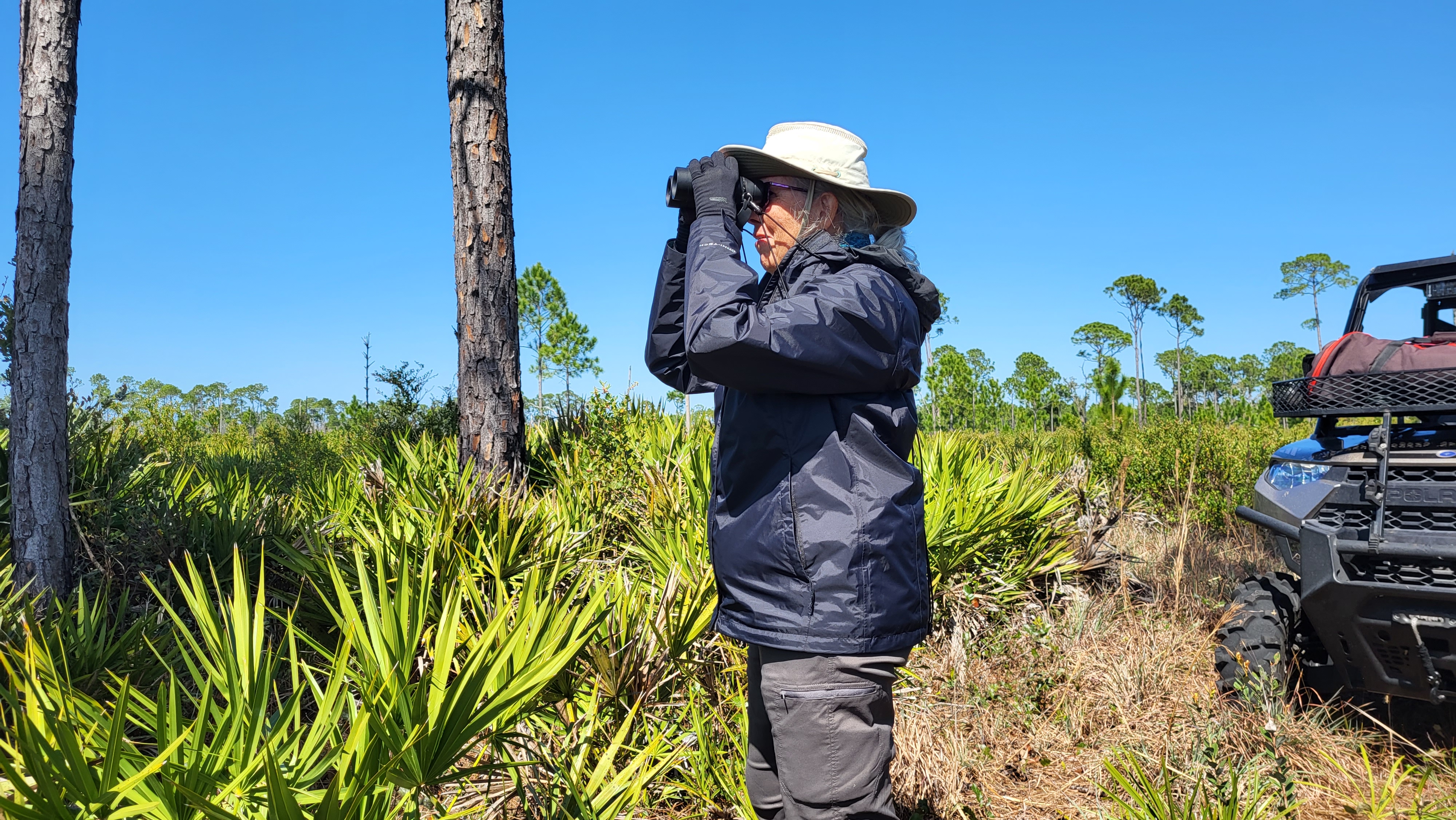 A person wearing a hat uses binoculars to look for birds in a natural area.