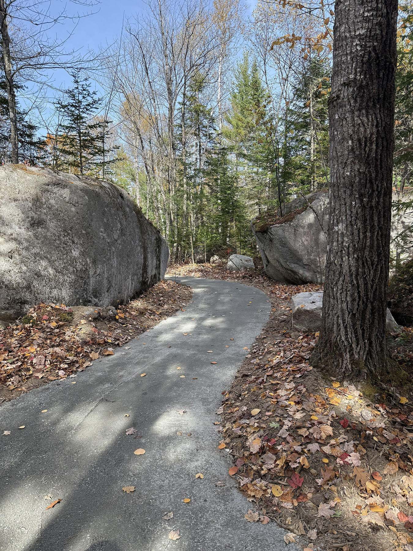 A paved path winds past a large rock and through a forest.