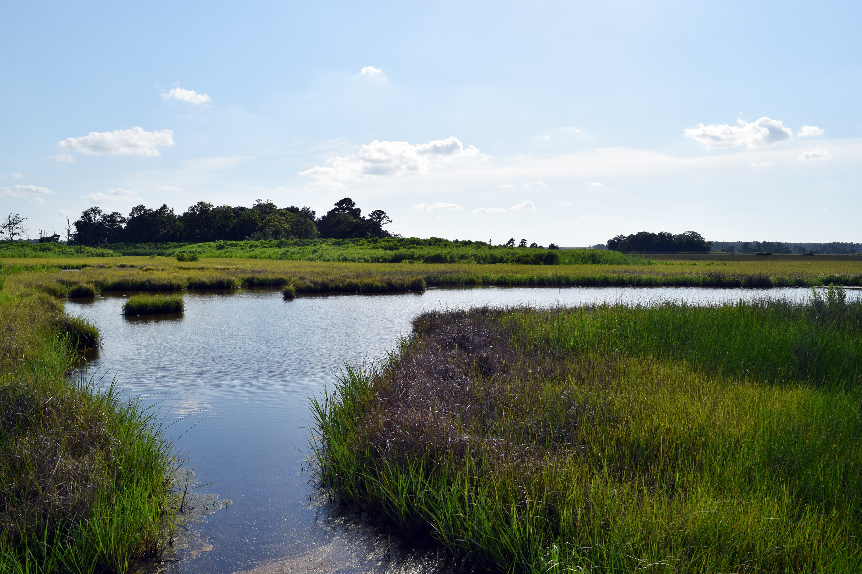 A wide flat channel of water curves through grass.