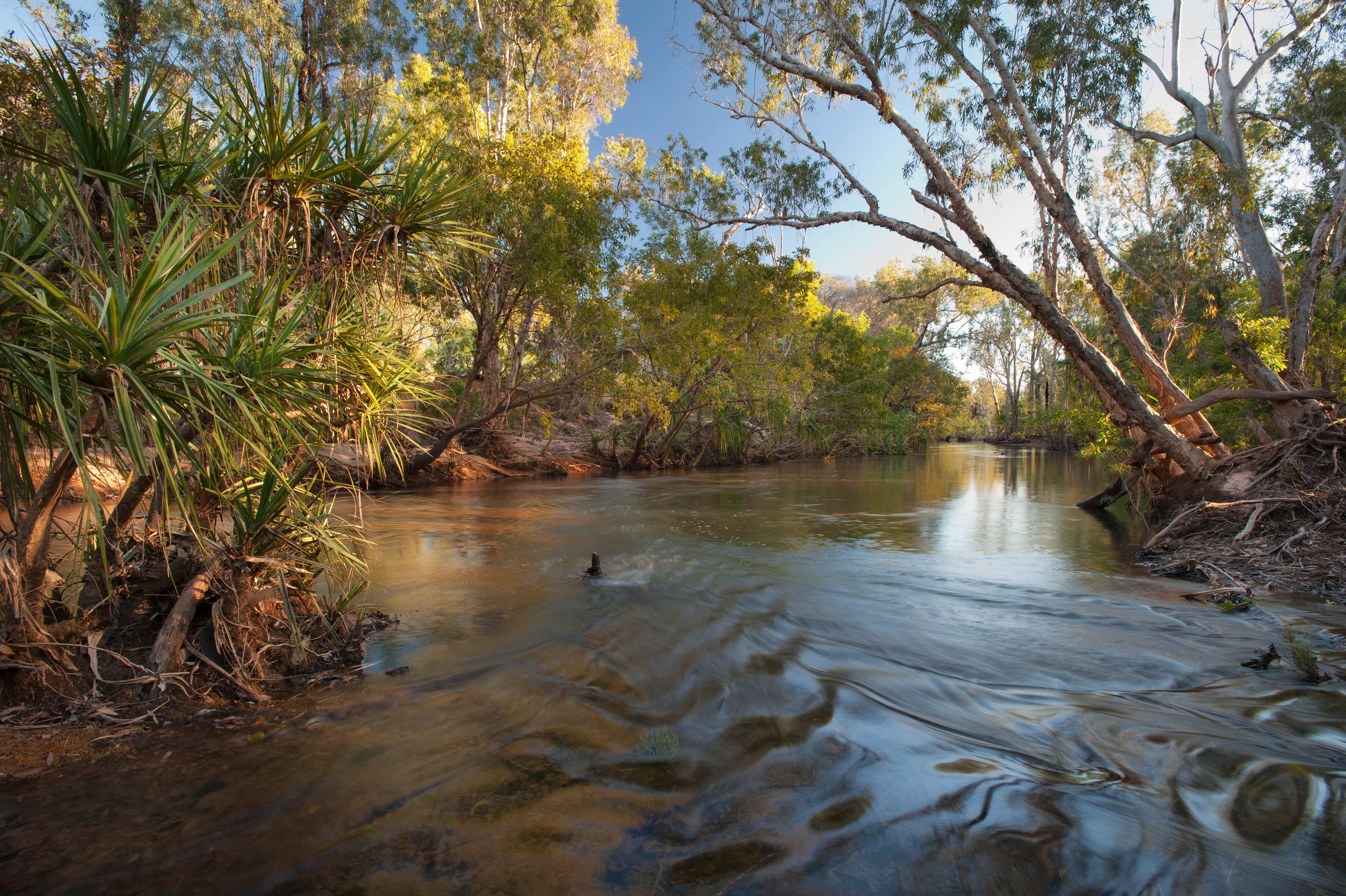 A river flowing past trees in Fish River Station.