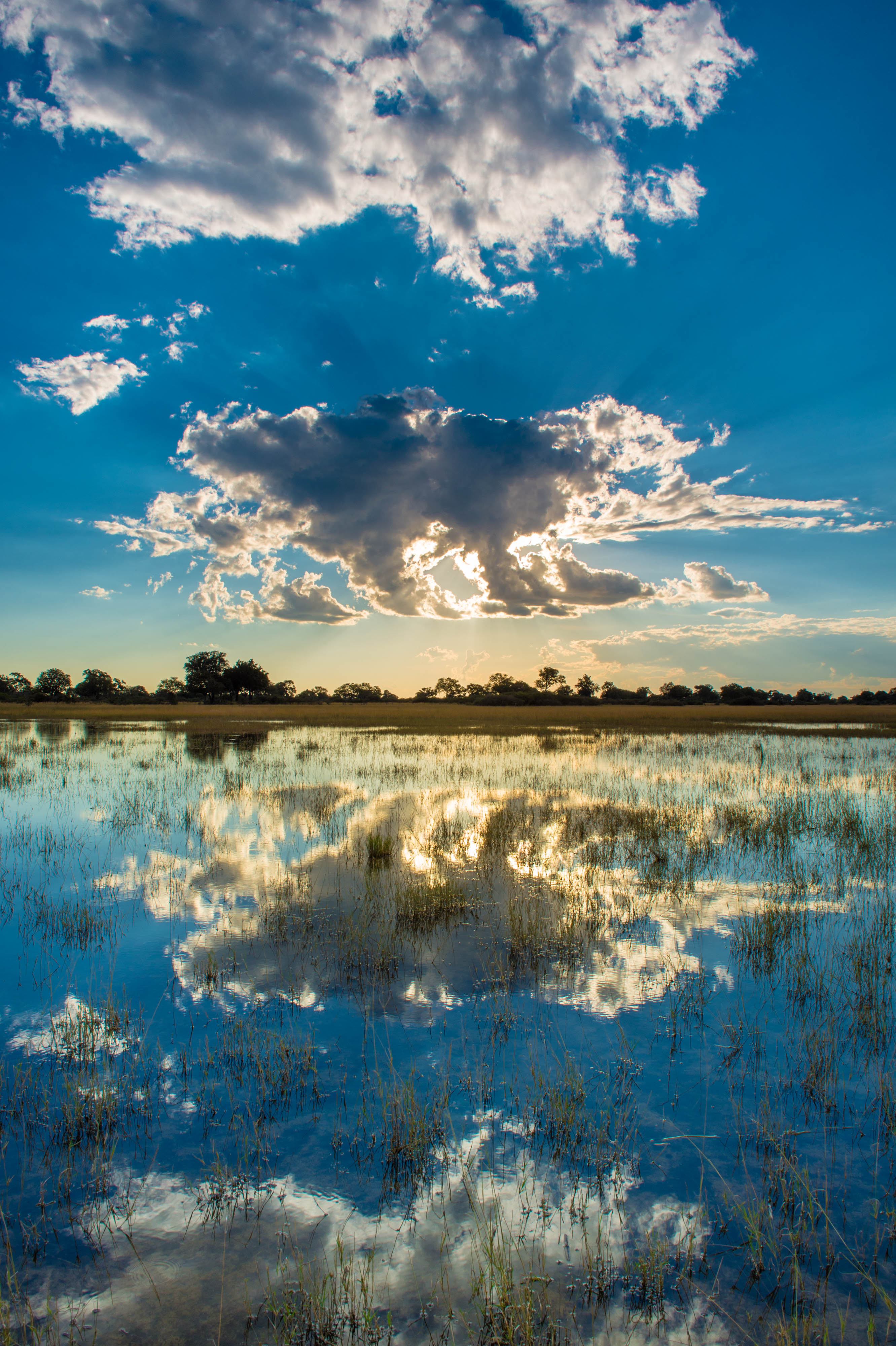 okavango basin