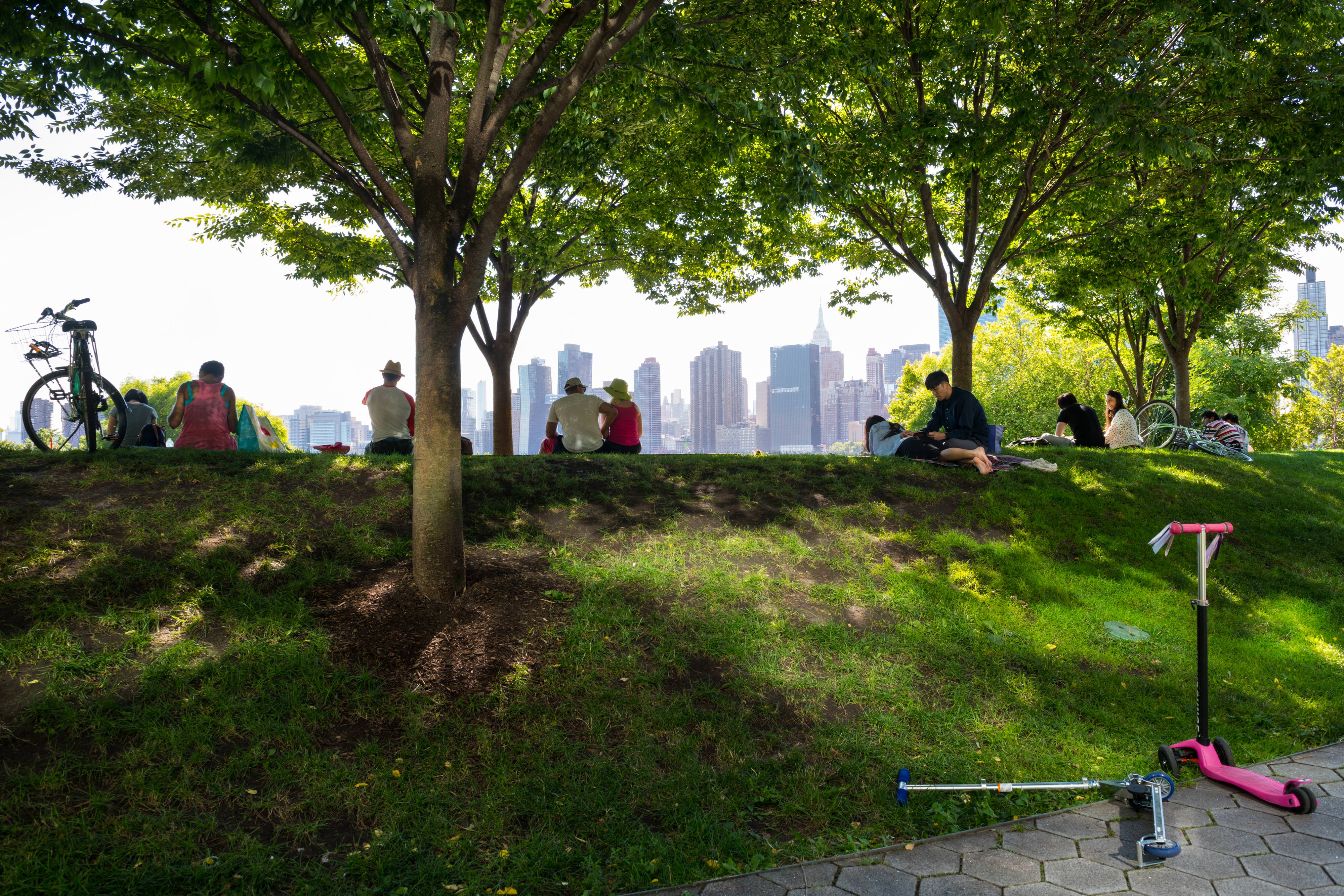 People sitting on the grass between two trees with the skyline in the back.