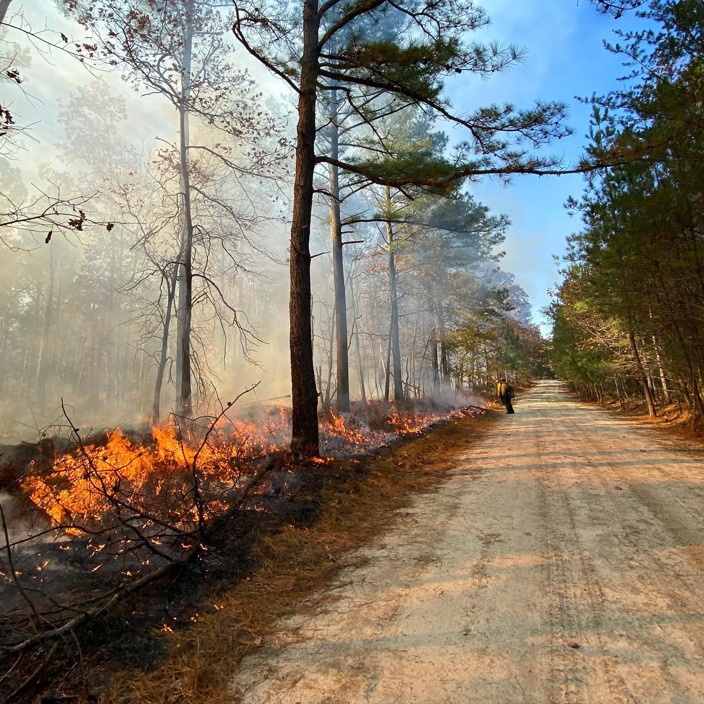 A person stands in a field in yellow fire gear near an orange flame.