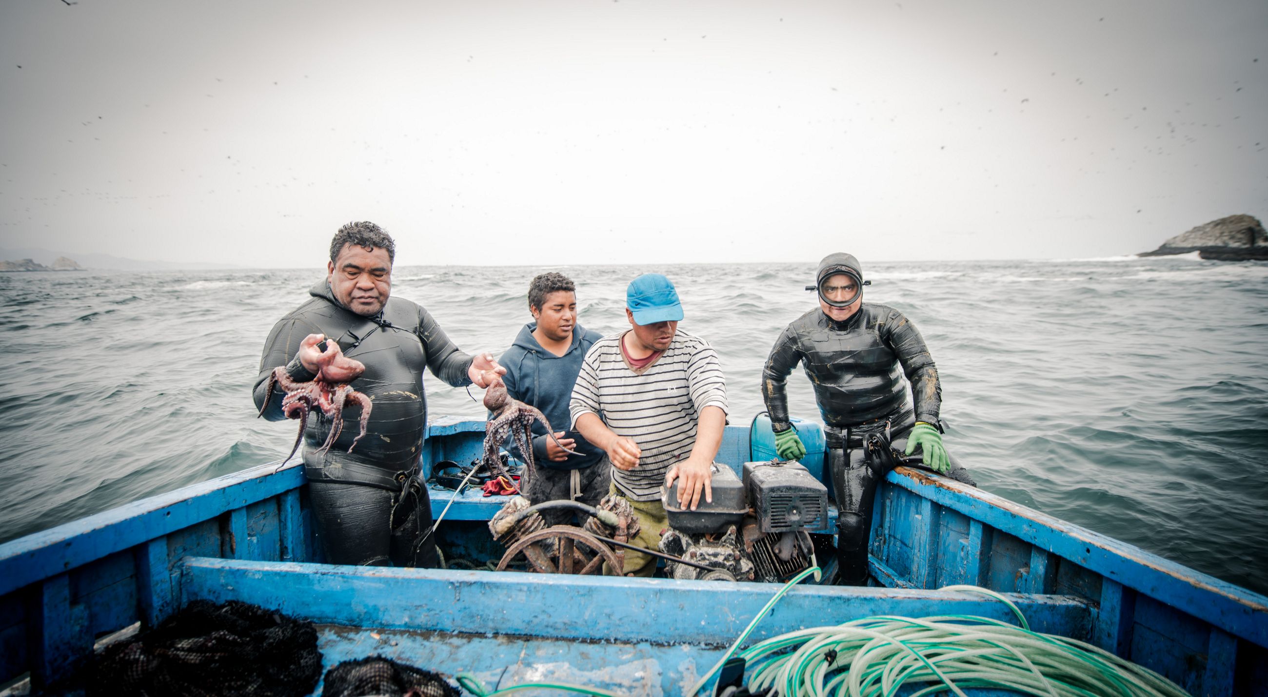 Four men stand in a blue boat, two wearing wet suits. One of the men in a wet suit holds an octopus in both hands.