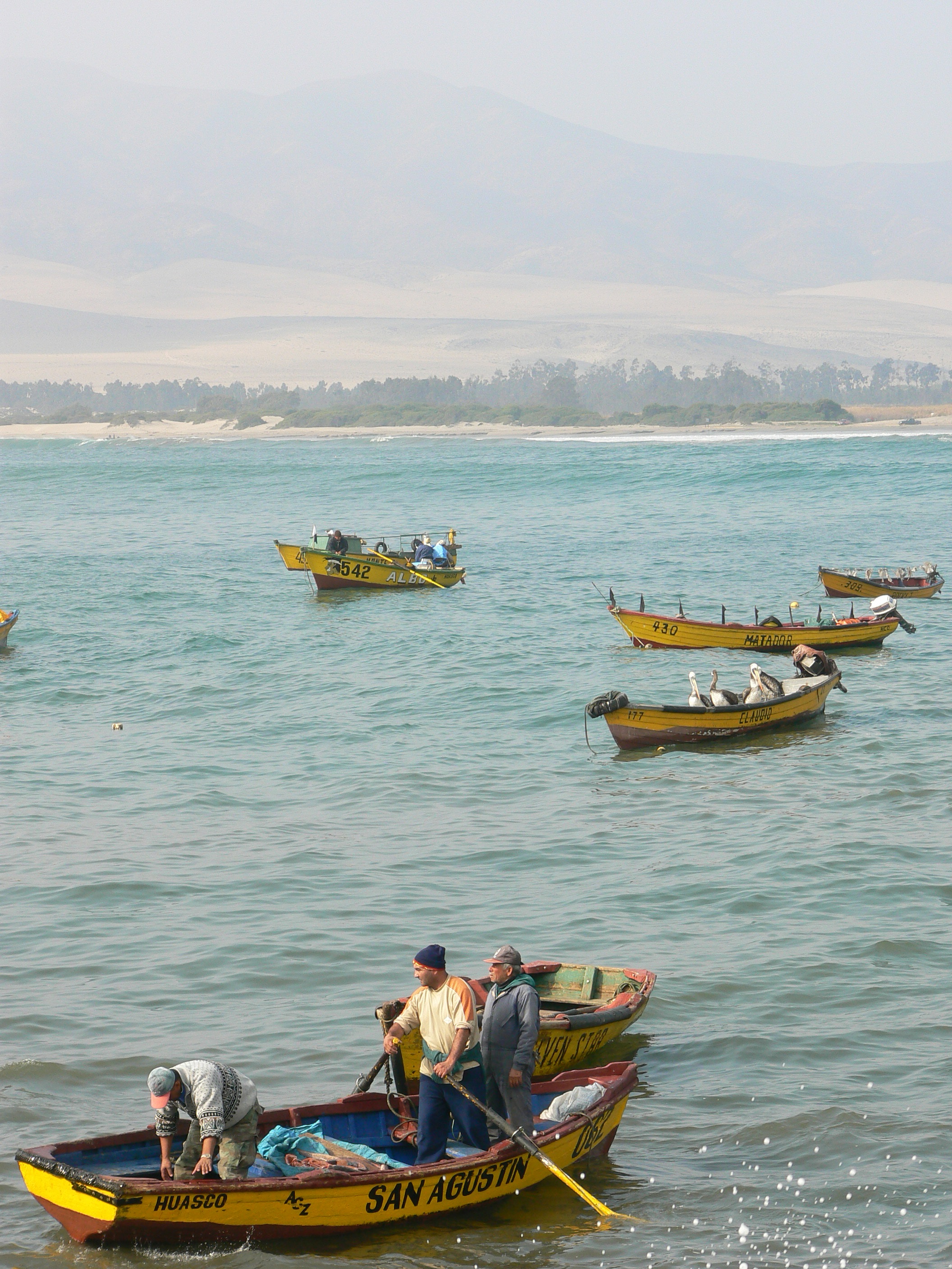 Five small yellow boats float in the ocean.