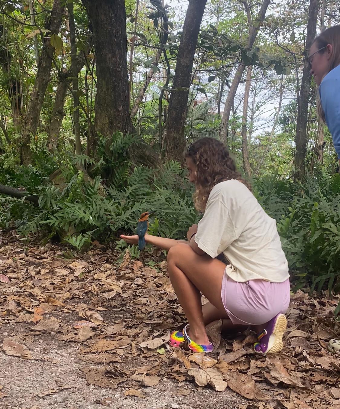 A volunteer has a bird perched on her arm.