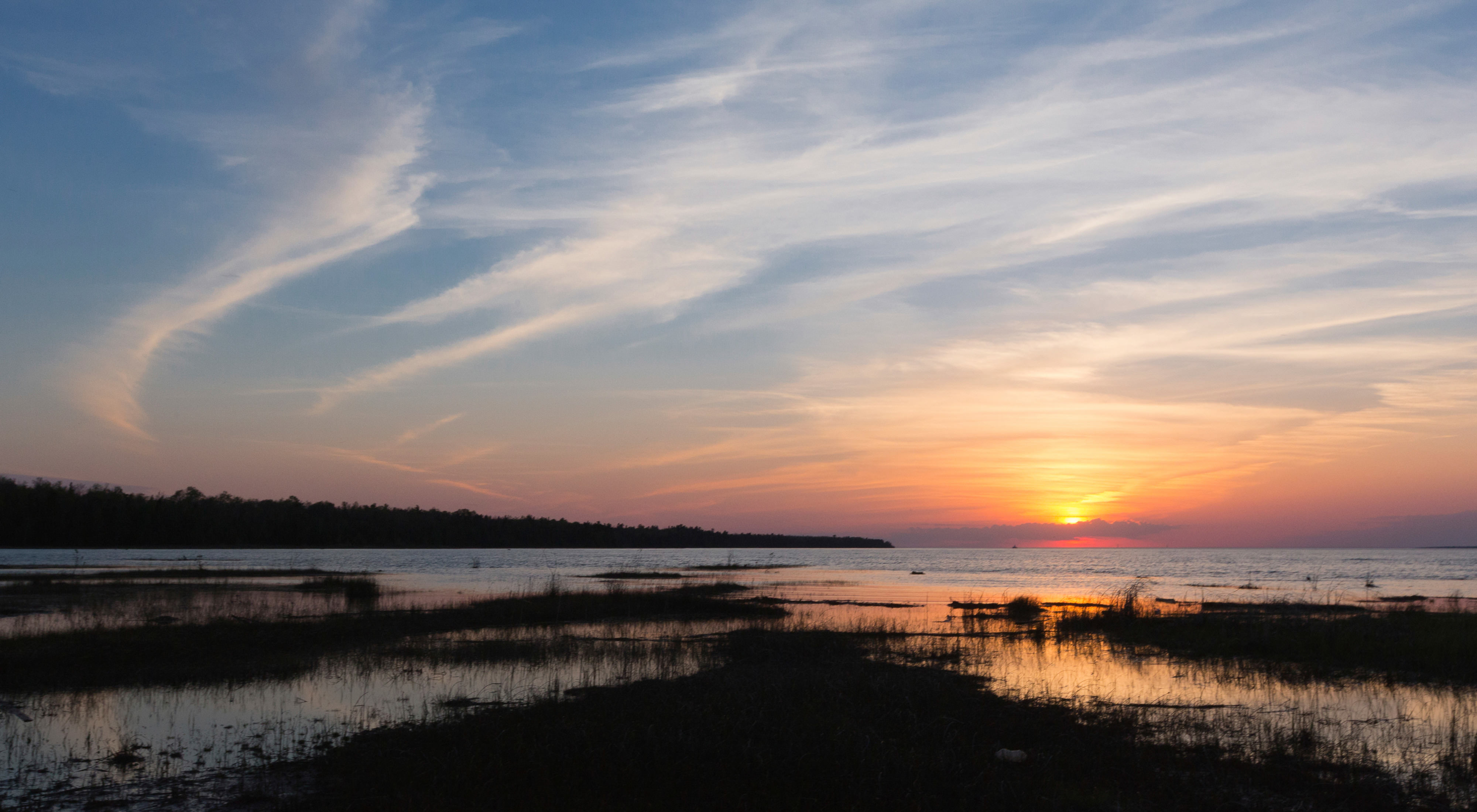 Looking out on the shoreline of Grass Bay Preserve as the sun rises. 