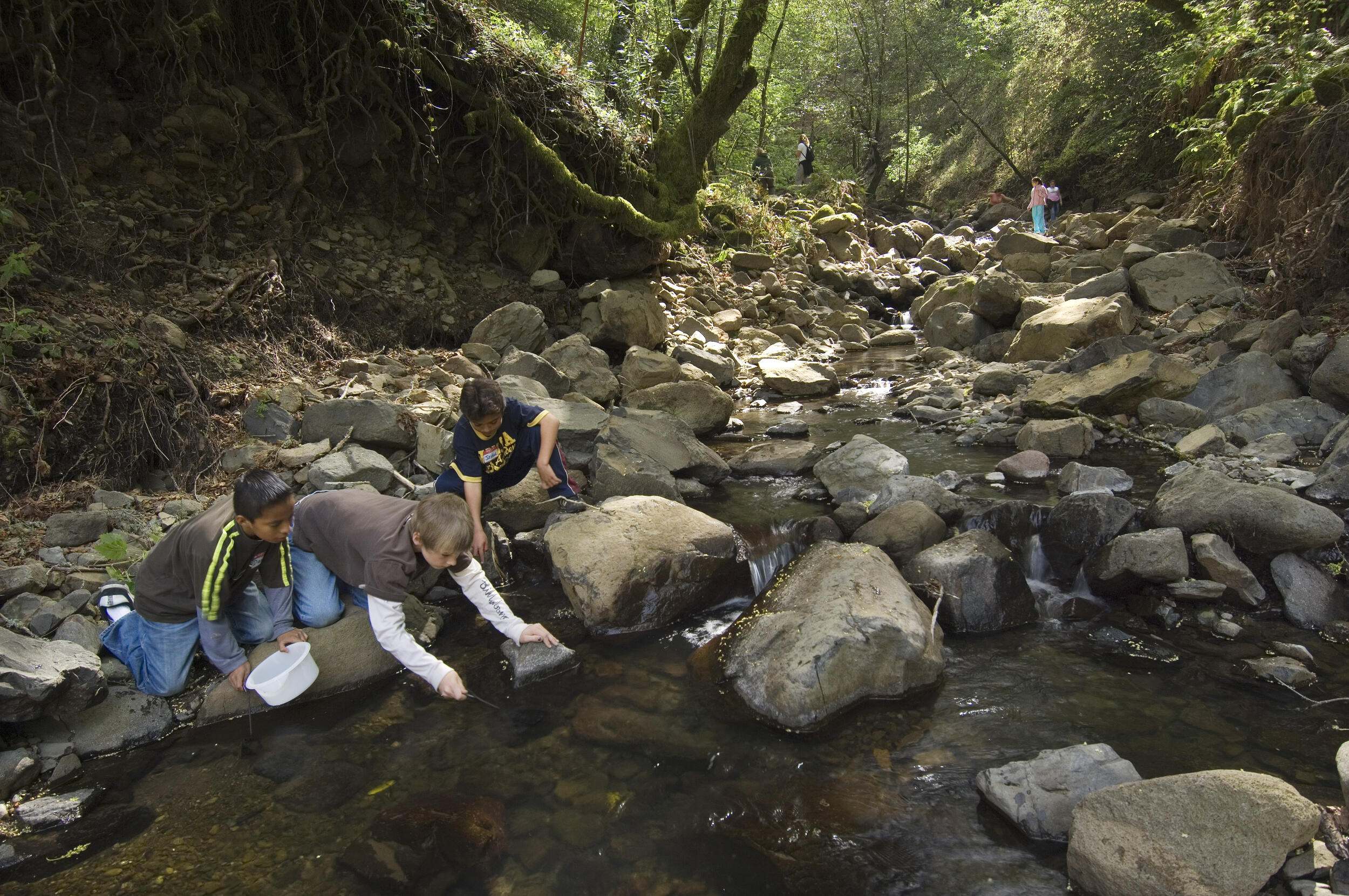 Children explore the natural wonders of a freshwater stream out in nature.
