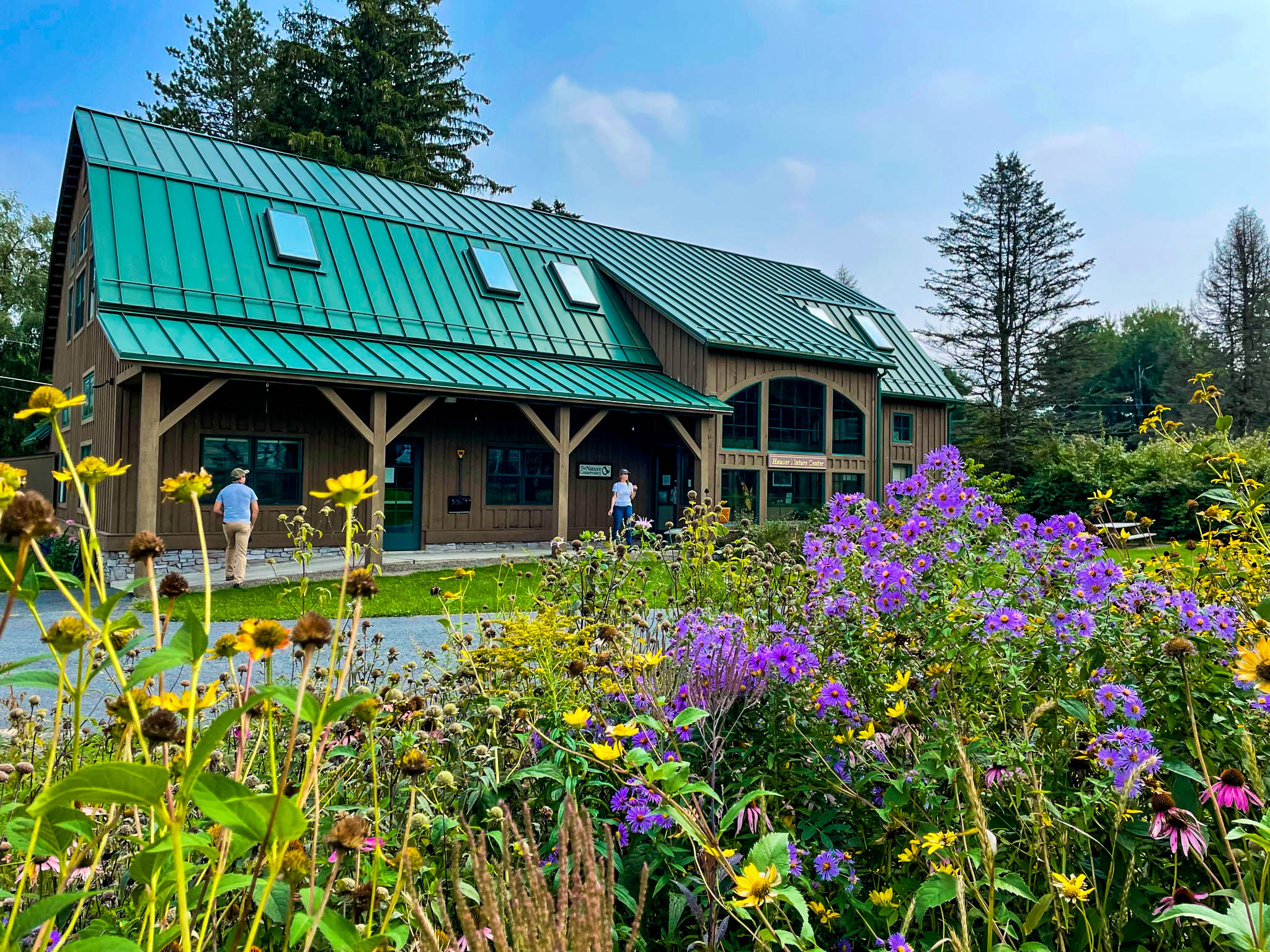A colorful pollinator garden sits in front of a brown barn with a green roof.