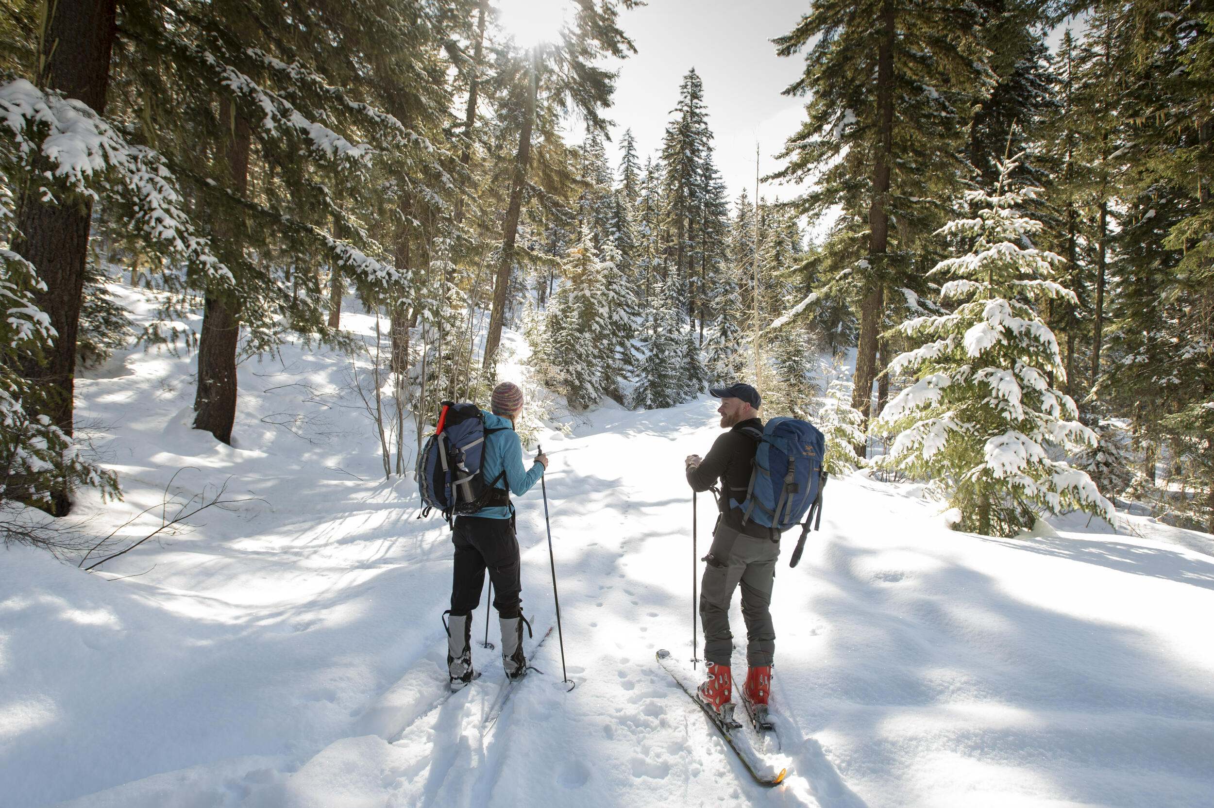 Two people explore a snowy trail on skis.