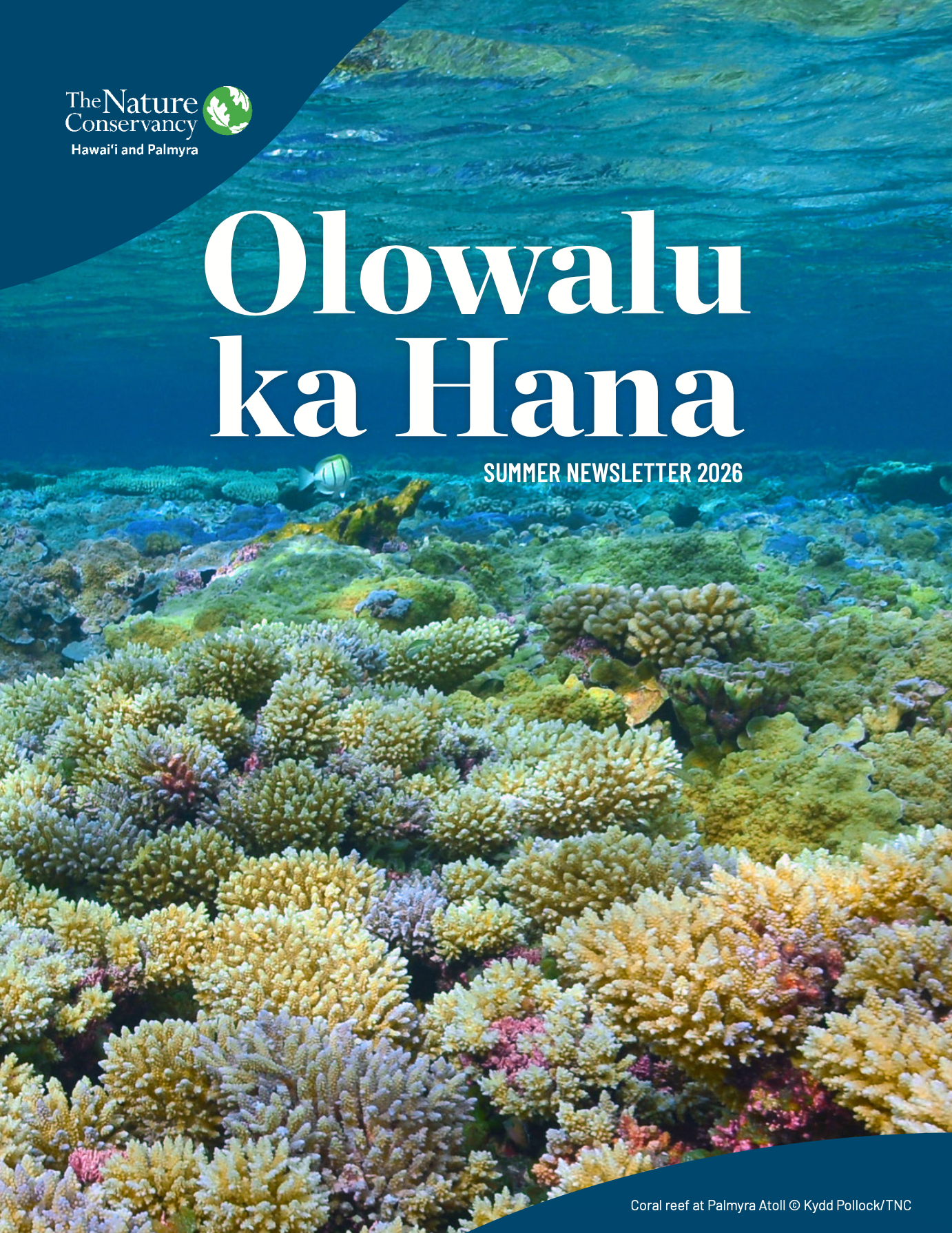 Cover of HIPAL Summer Newsletter 2026.