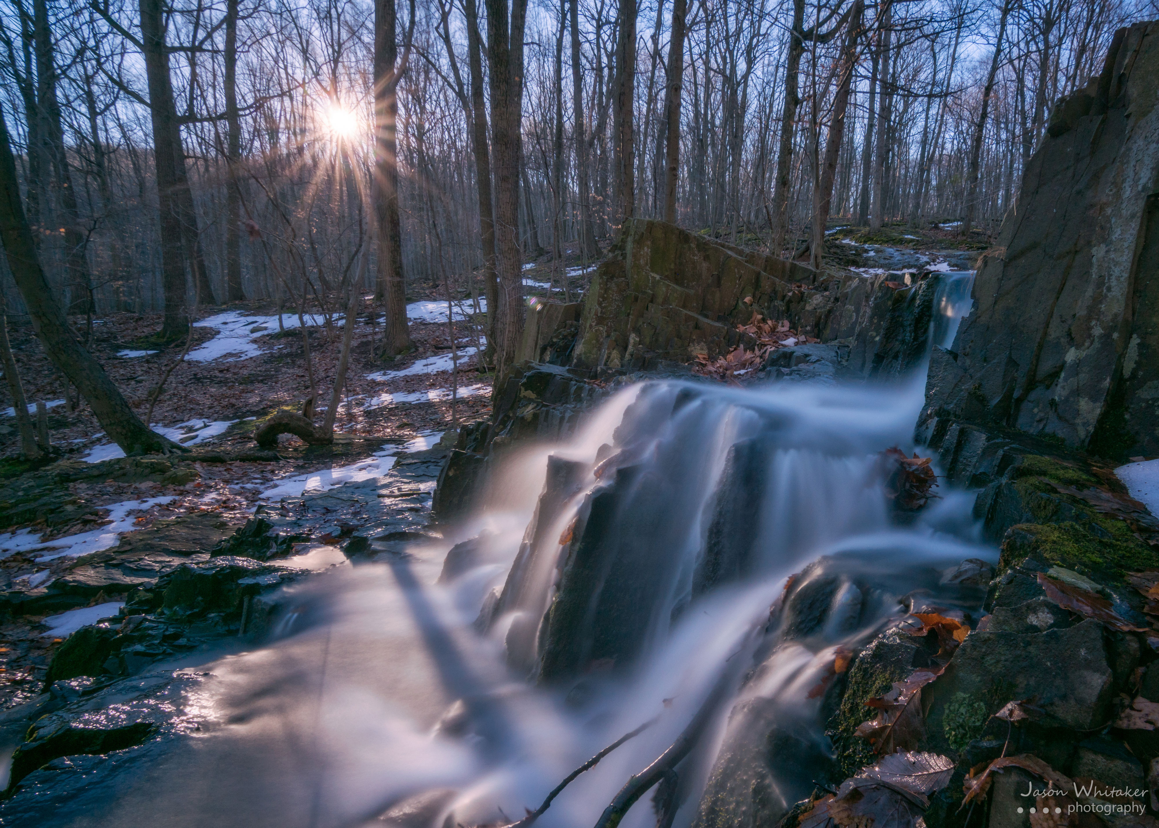 Snow covering a forest as the sun sets. 
