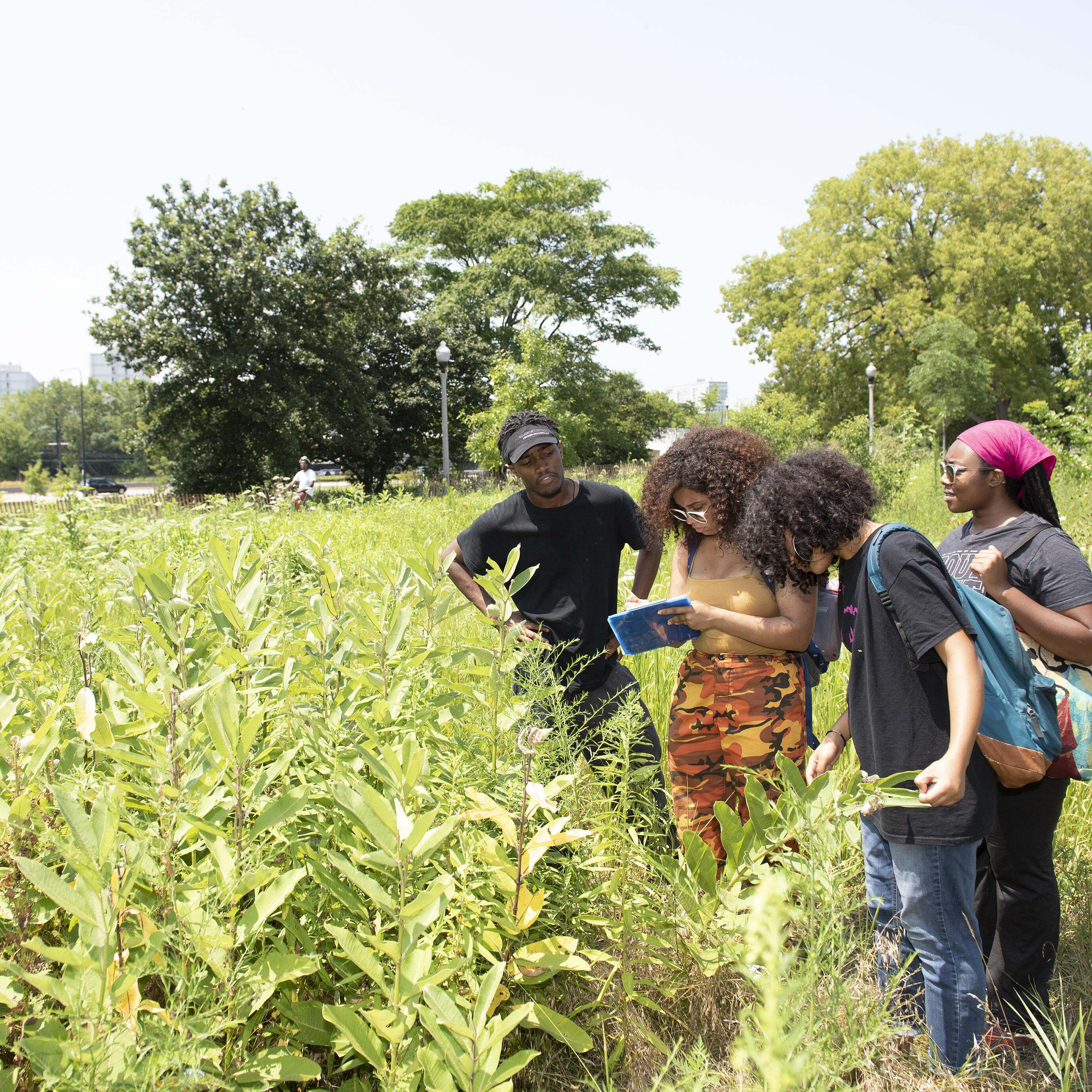 A group of people standing in a meadow taking notes. 