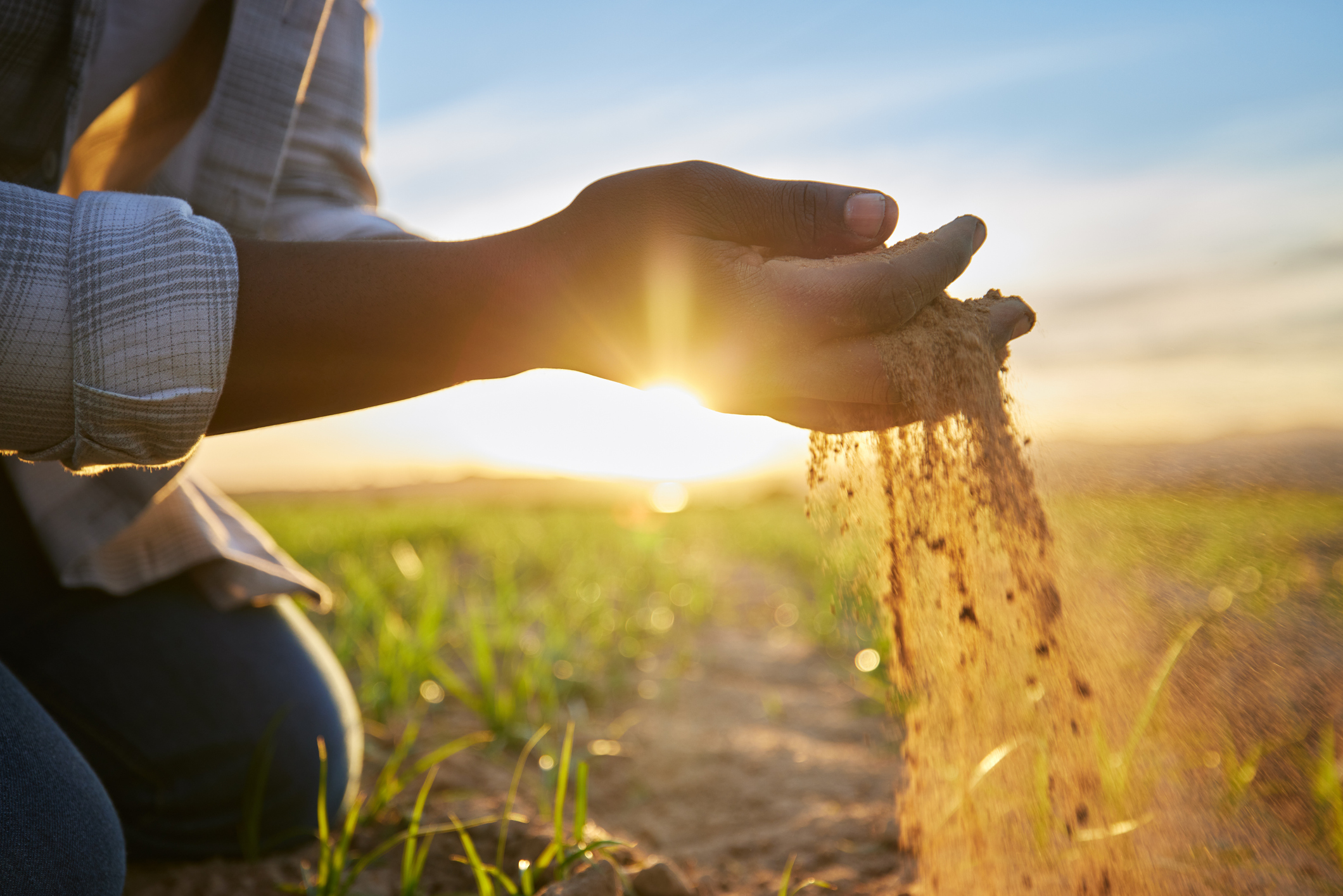 hands holding dirt.