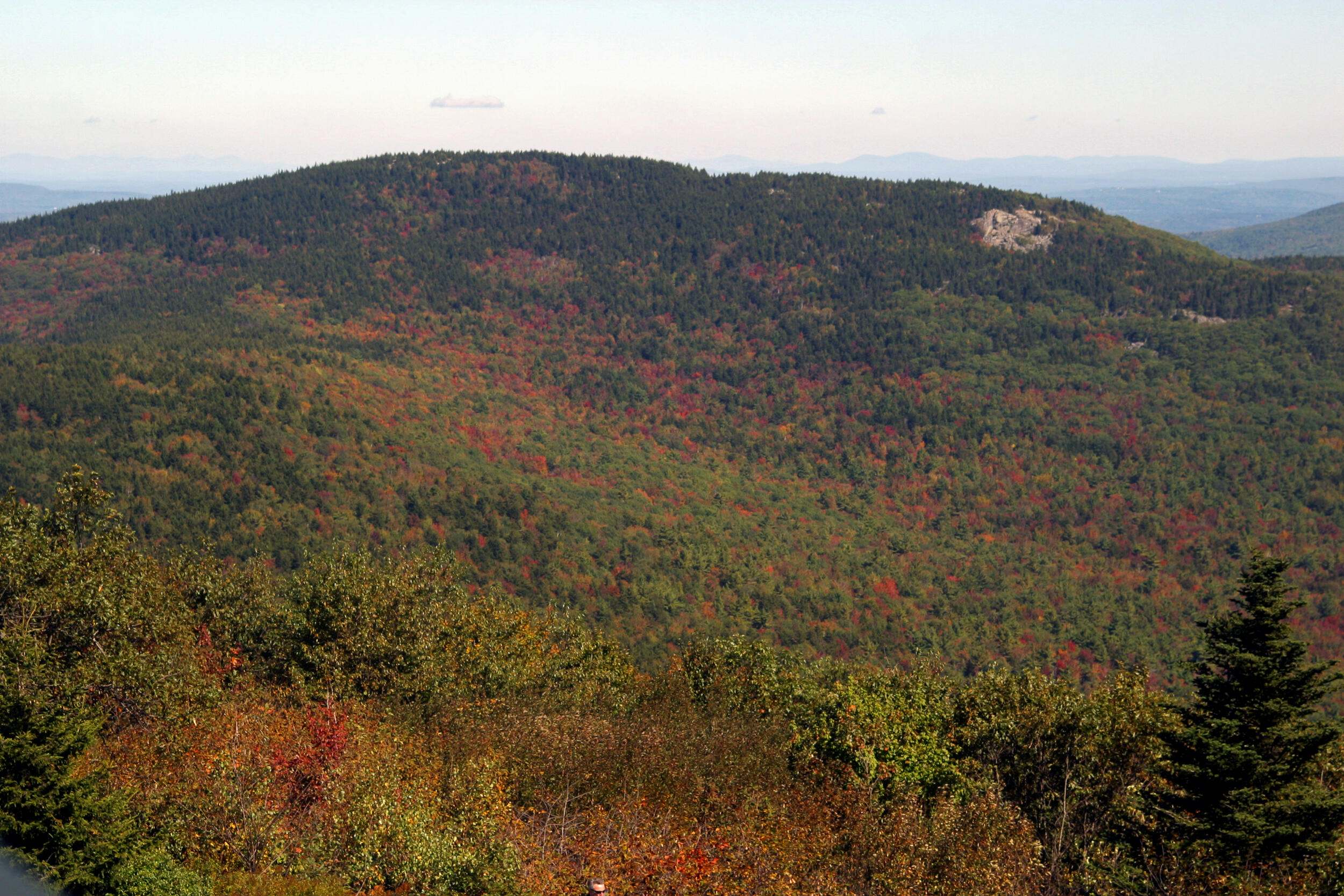 Evergreen and deciduous forest covers mountain range.