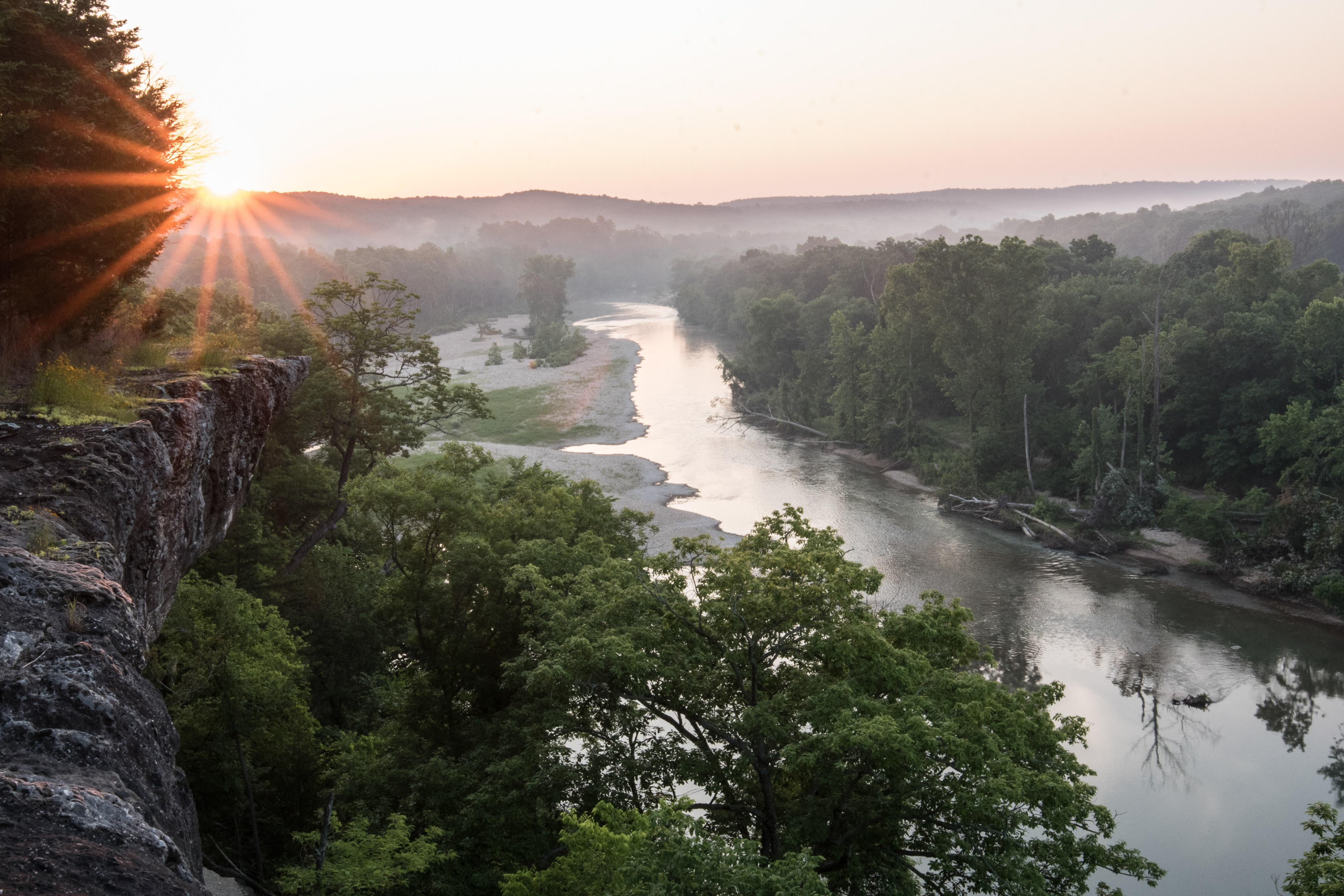 Sunrise over a foggy river, lined by Oak trees.