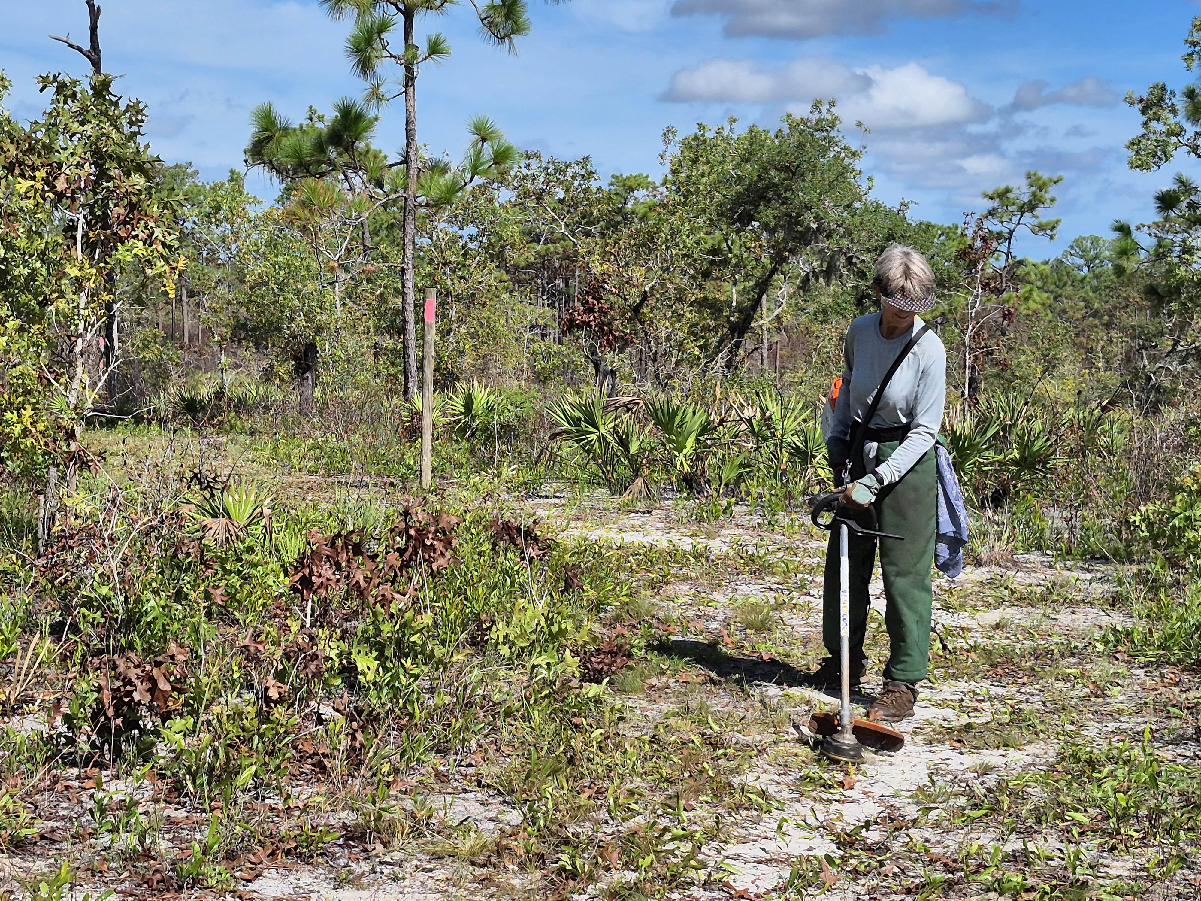 A woman uses a weed wacker to clear a sandy trail.