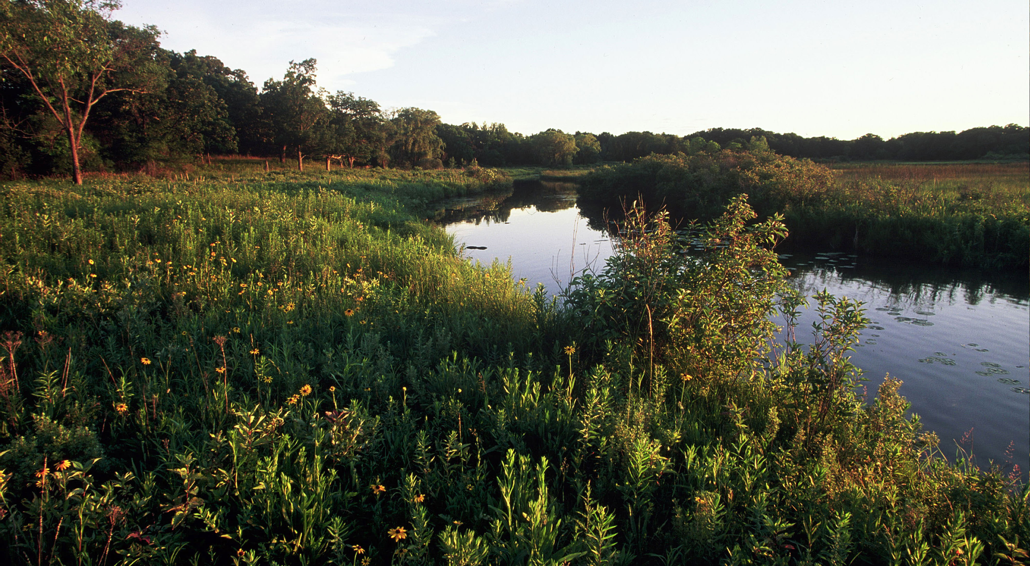 Water flows through a marsh near Lulu Lake. 