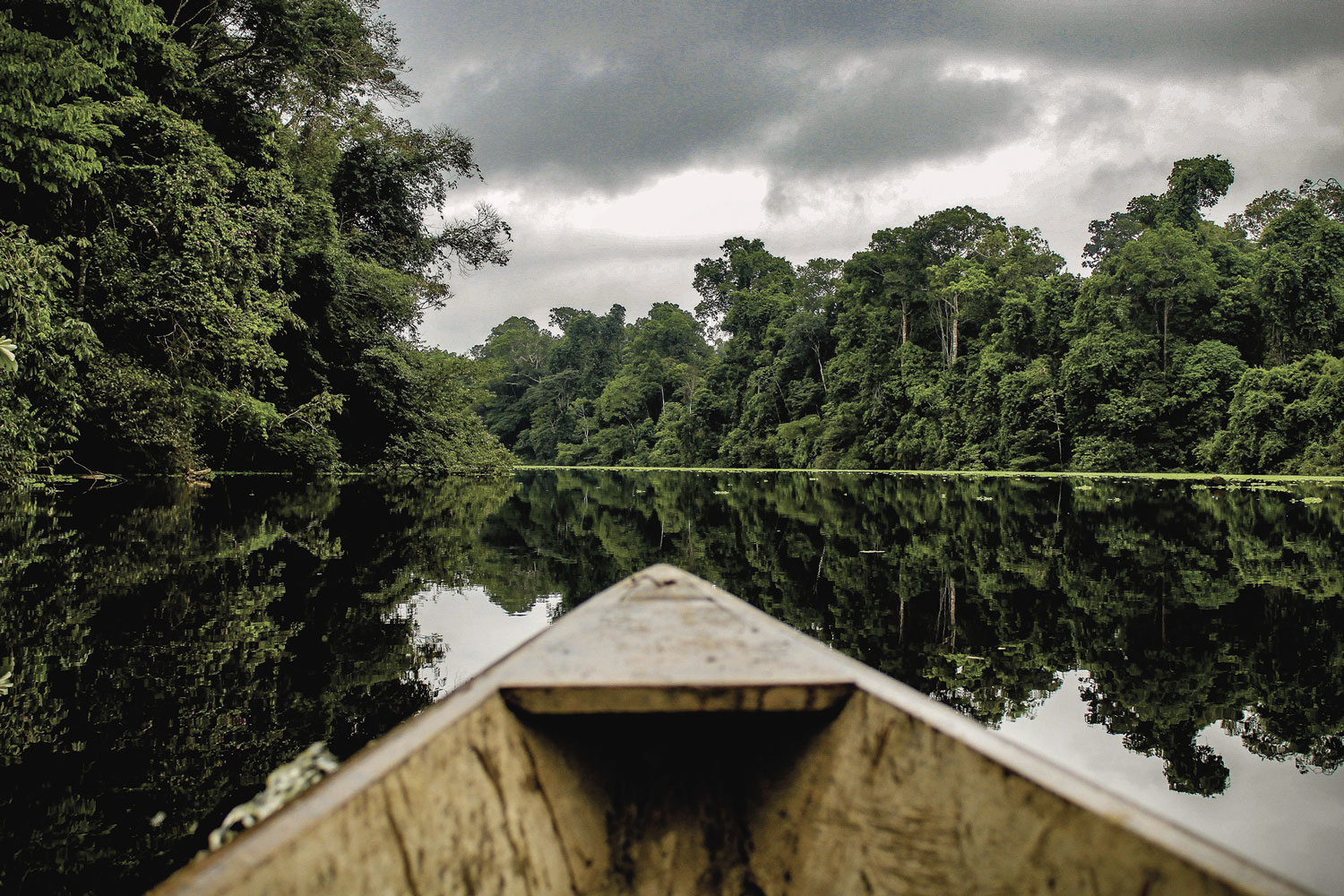 A bow of a boat along a glassy river.