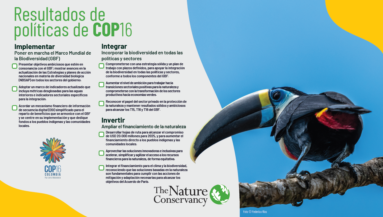 Resultados COP16.