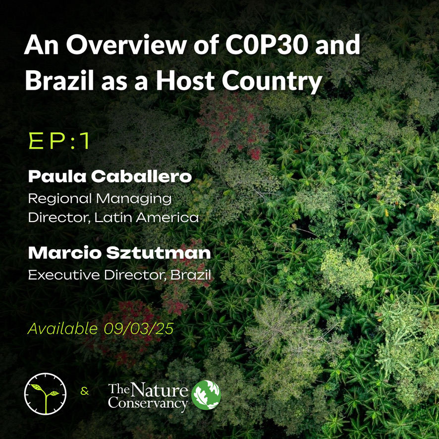 Promotional image from the podcast. 