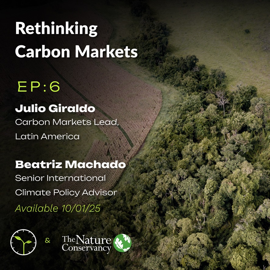 Promotional image from the podcast. 