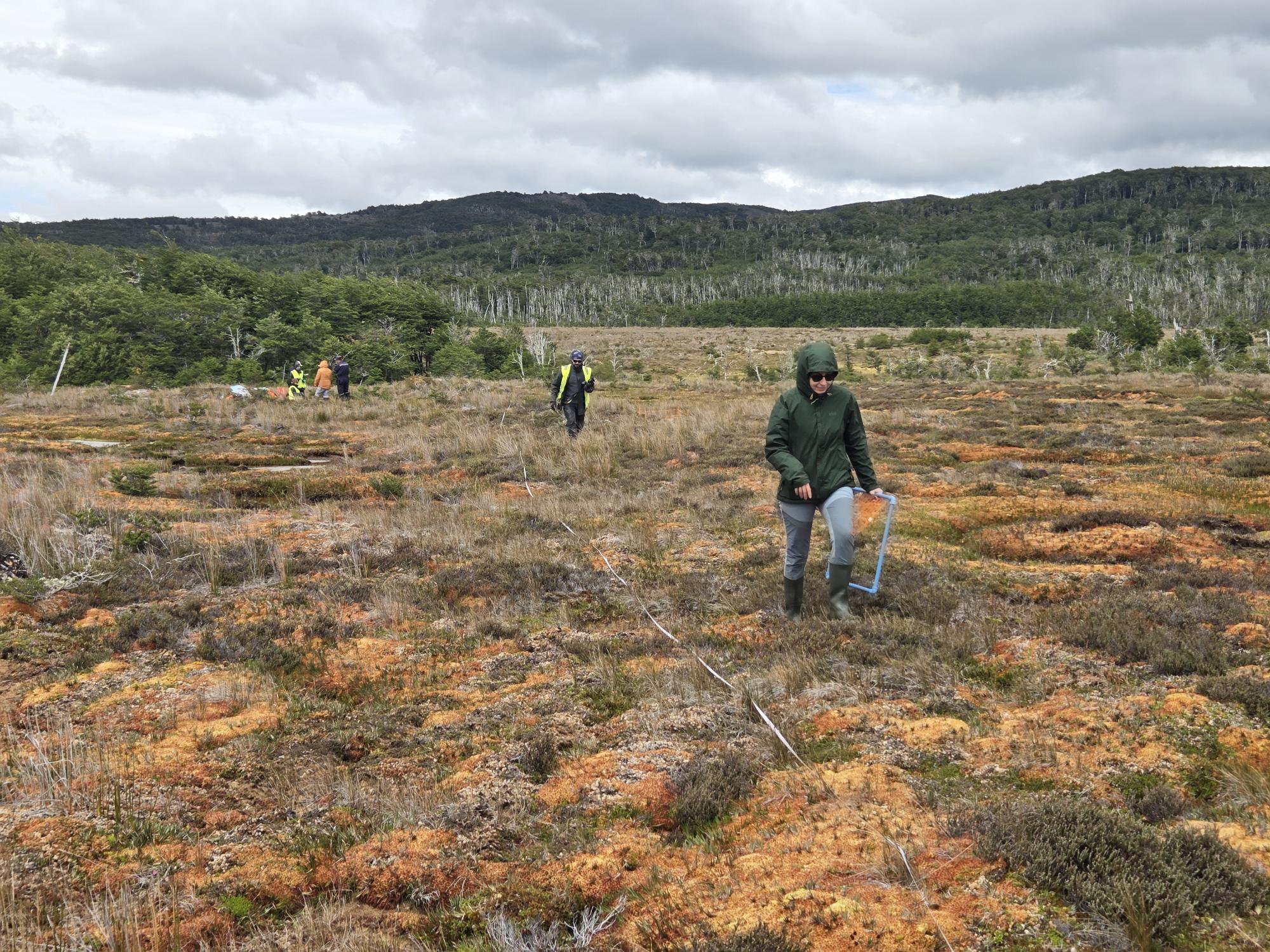 Un grupo de personas con ropa de montaña camina por un paisaje colorido y cubierto de musgo bajo un cielo nublado, con un denso bosque verde al fondo.