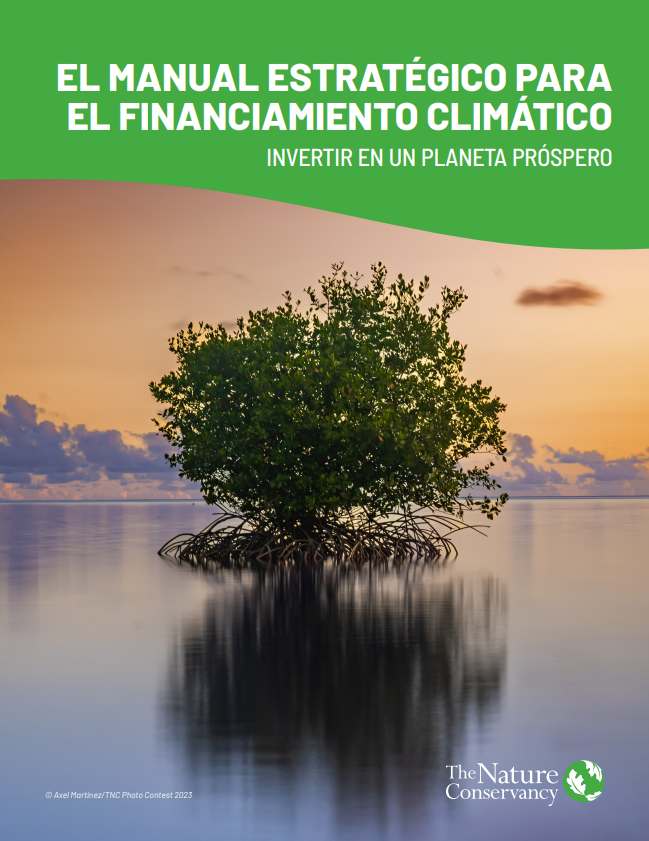 Portada del Manual de Estrategias.