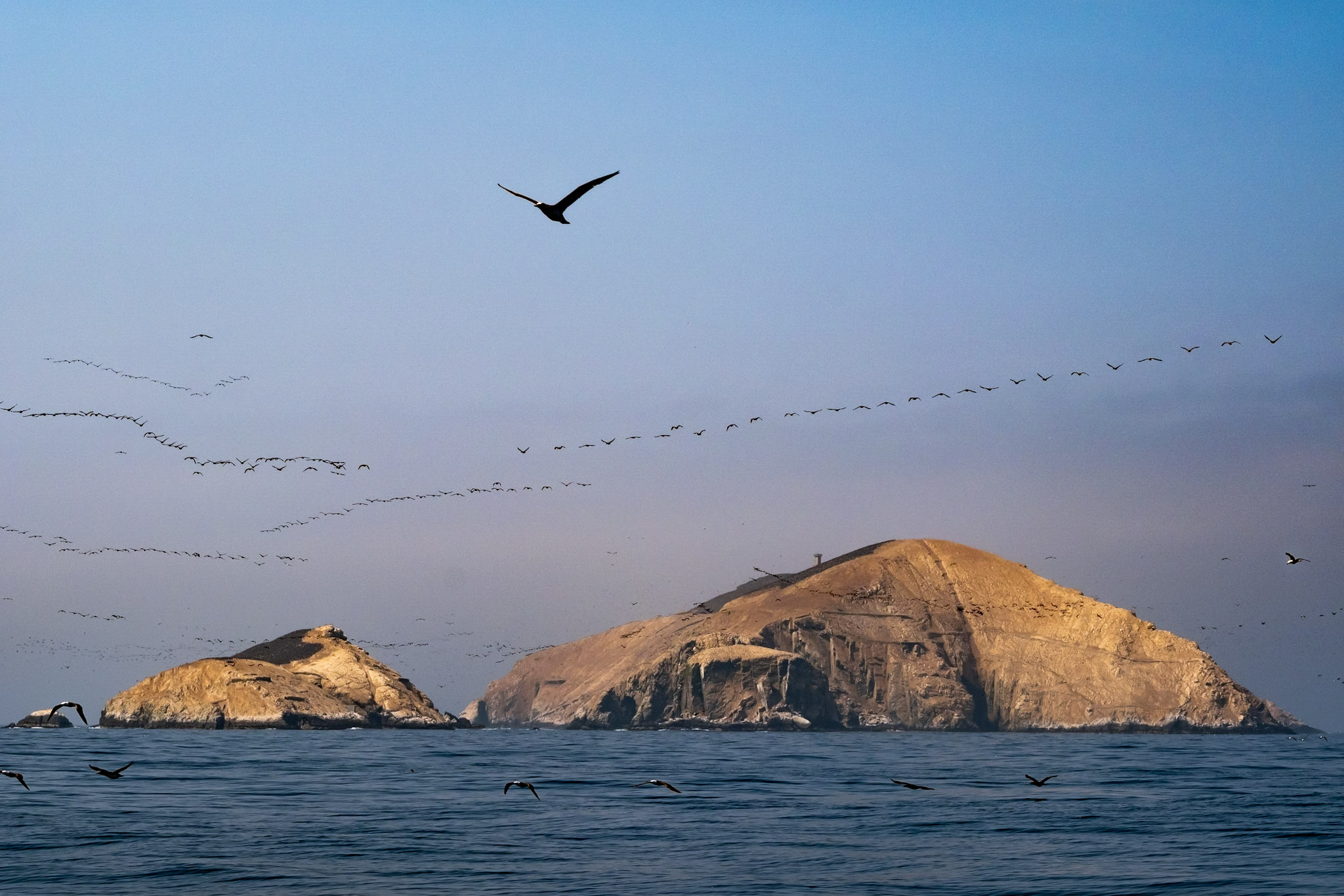 La corriente de Humboldt circula por la costa de Chile, Perú y Ecuador. 
