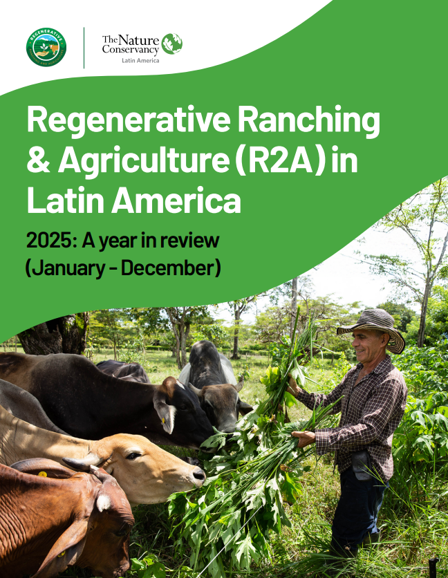 Visual representation of regenerative agriculture practices in Latin America, highlighting sustainable agricultural techniques.