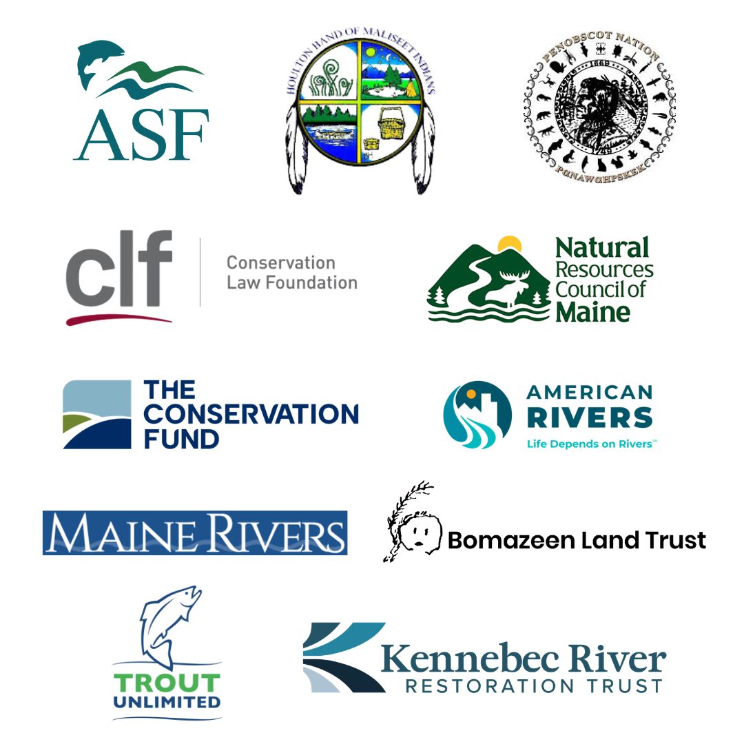 A collage of partner logos.