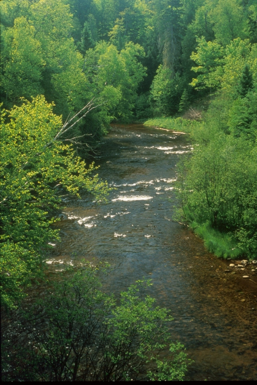 Two Hearted River winds through the forests of Michigan's Upper Peninsula.