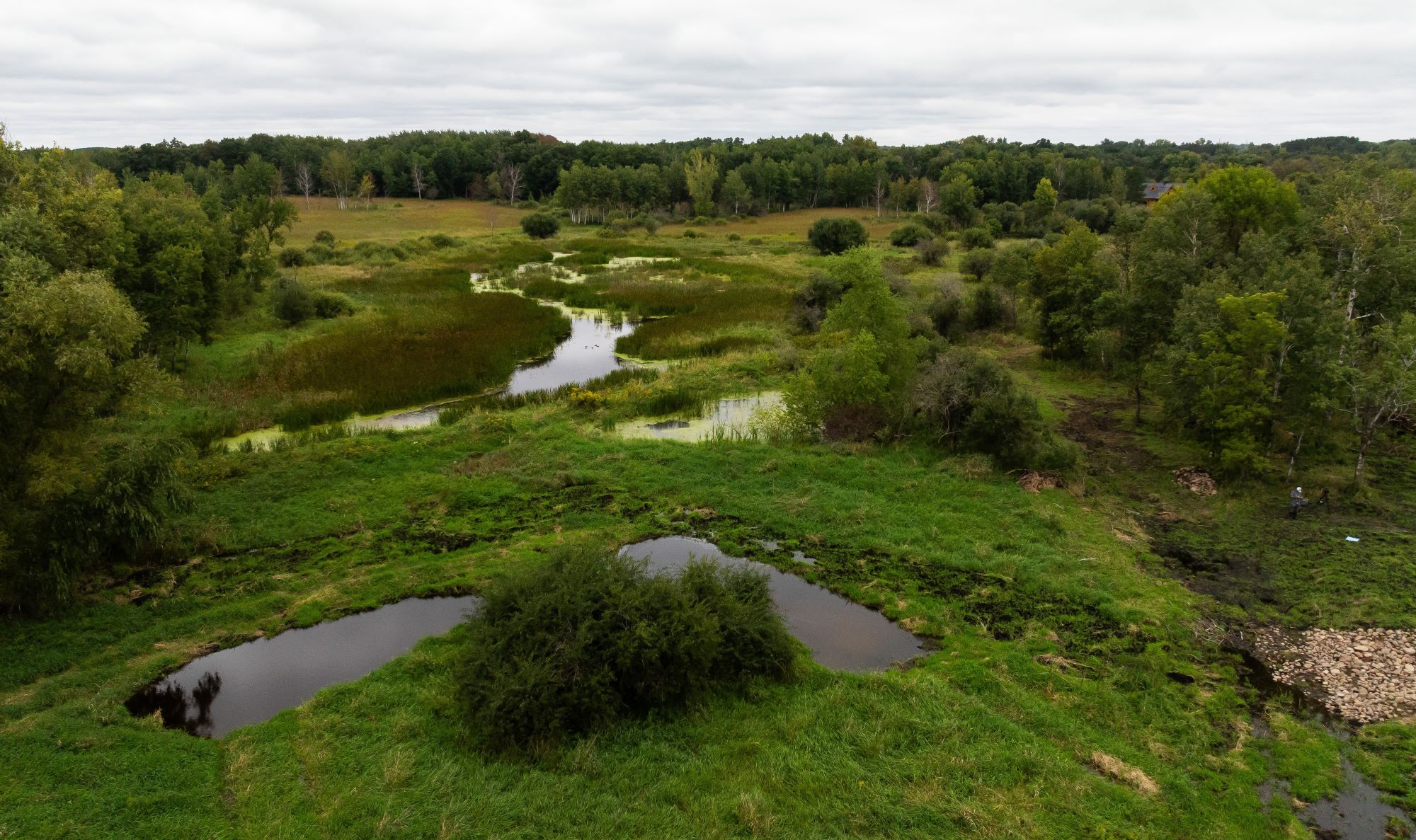 Stream running through a lush green wetland.