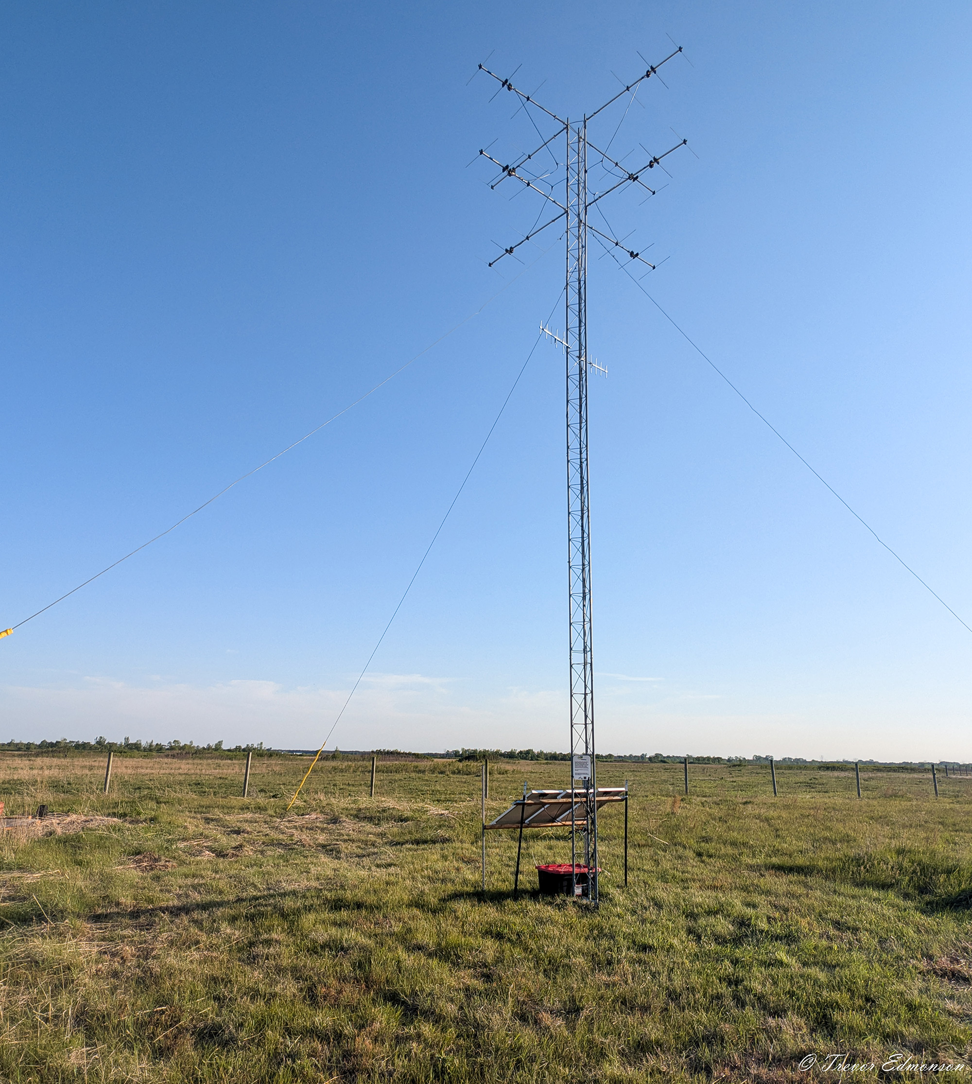 Motus tower on the Kankakee Sands prairie.