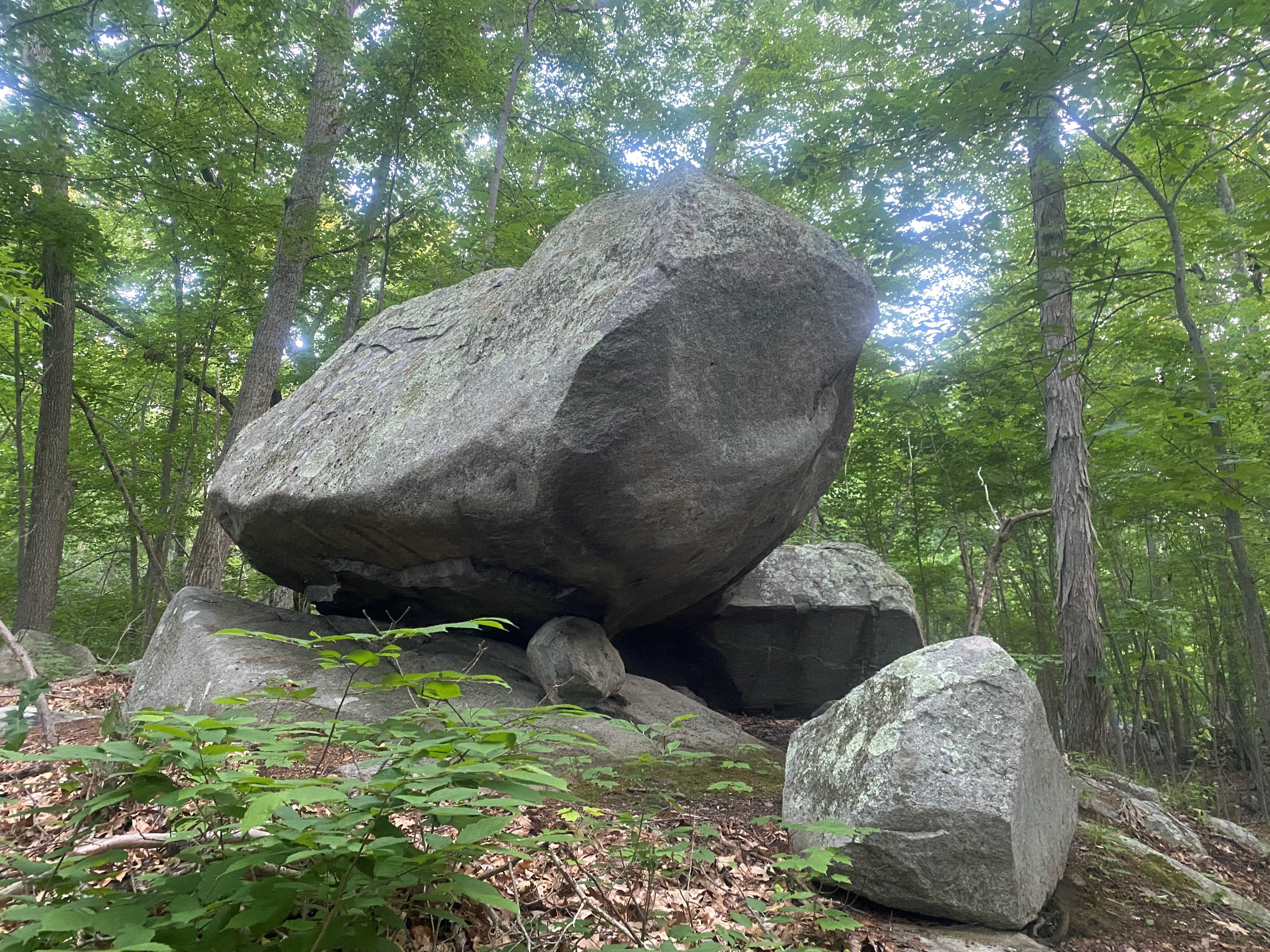 Several giant boulders rest on exposed bedrock in a forest.