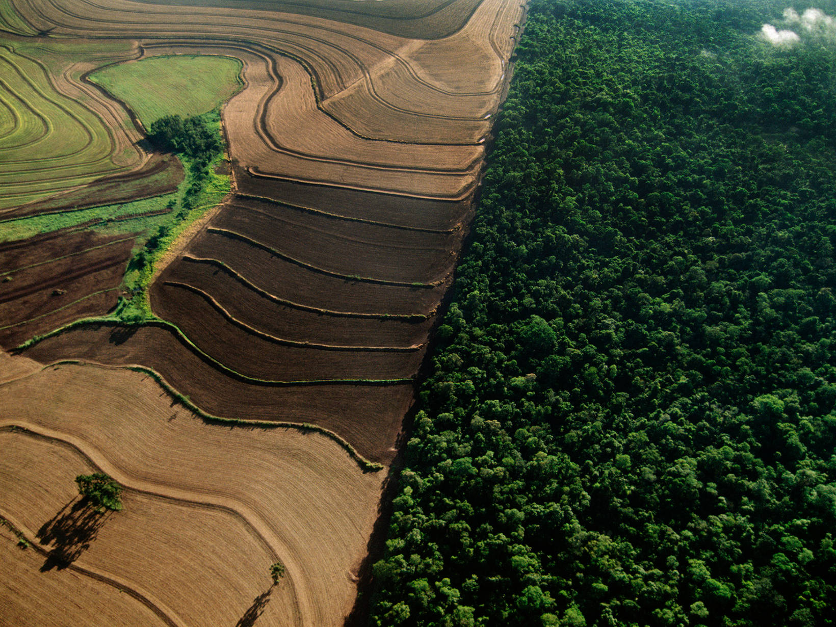 Industrial farmland surrounding cerrado habitat, Brazil